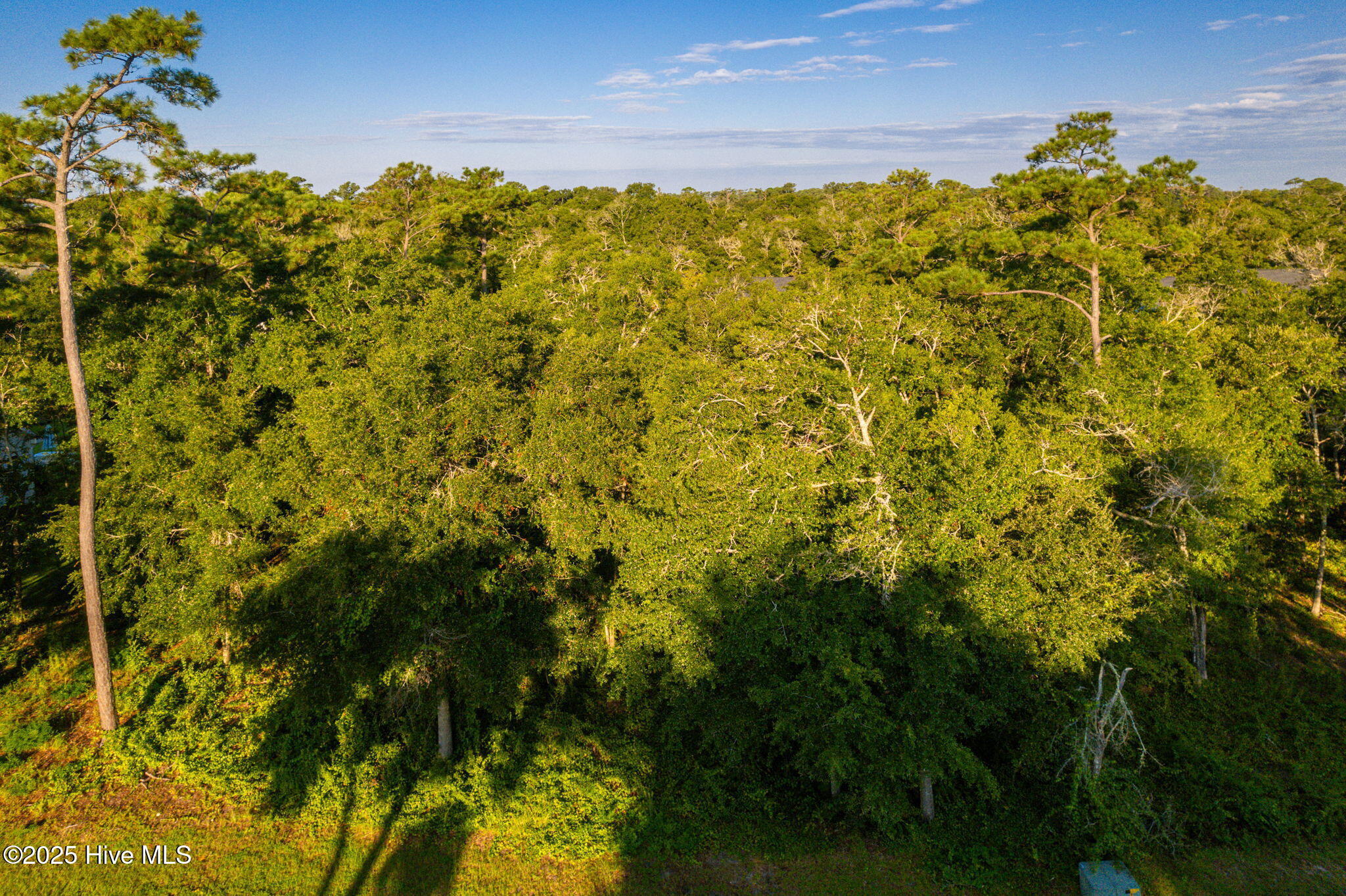 207 Coventry Road Property Photo 9