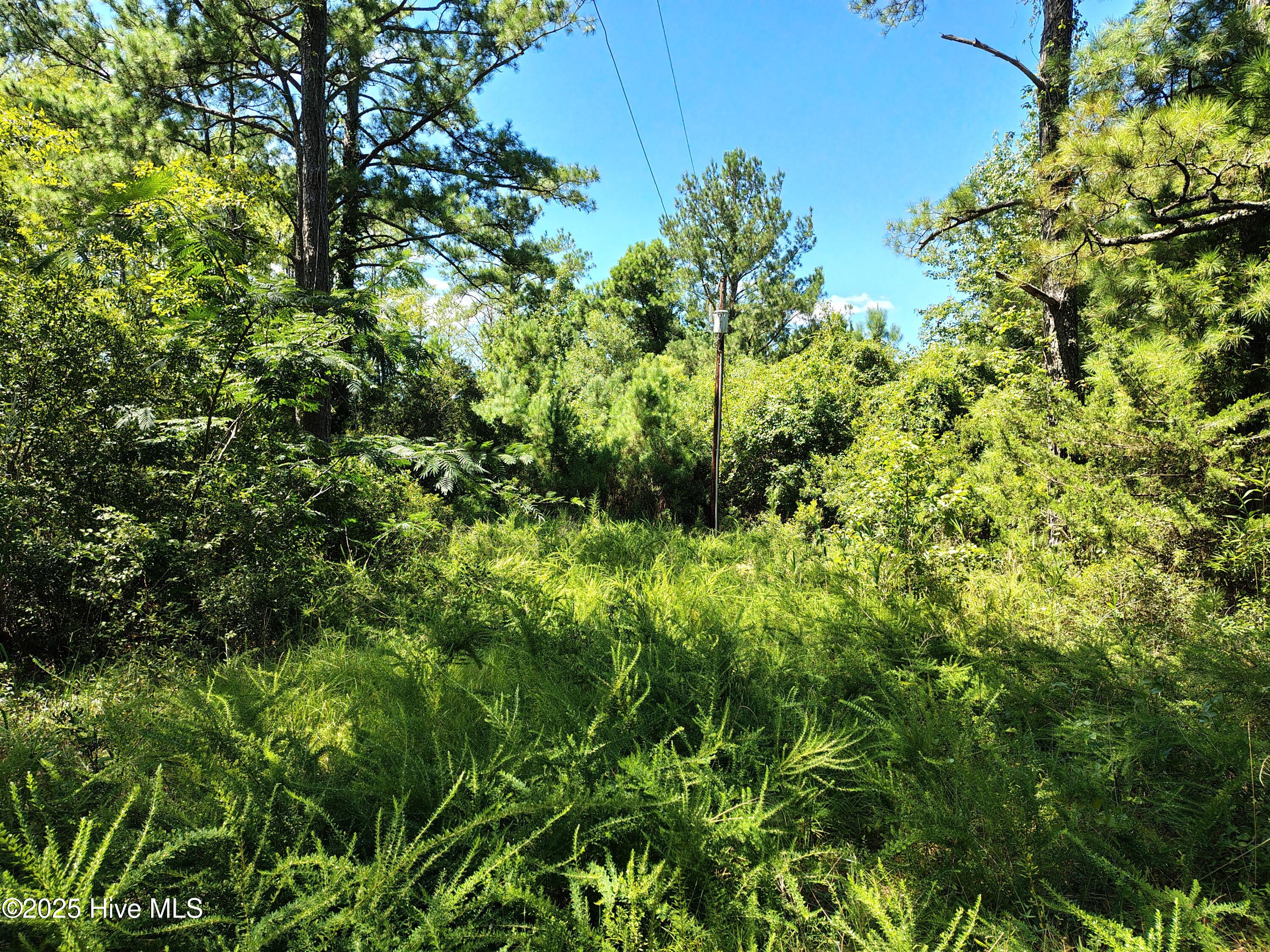 498 Poyners Road Property Photo 1