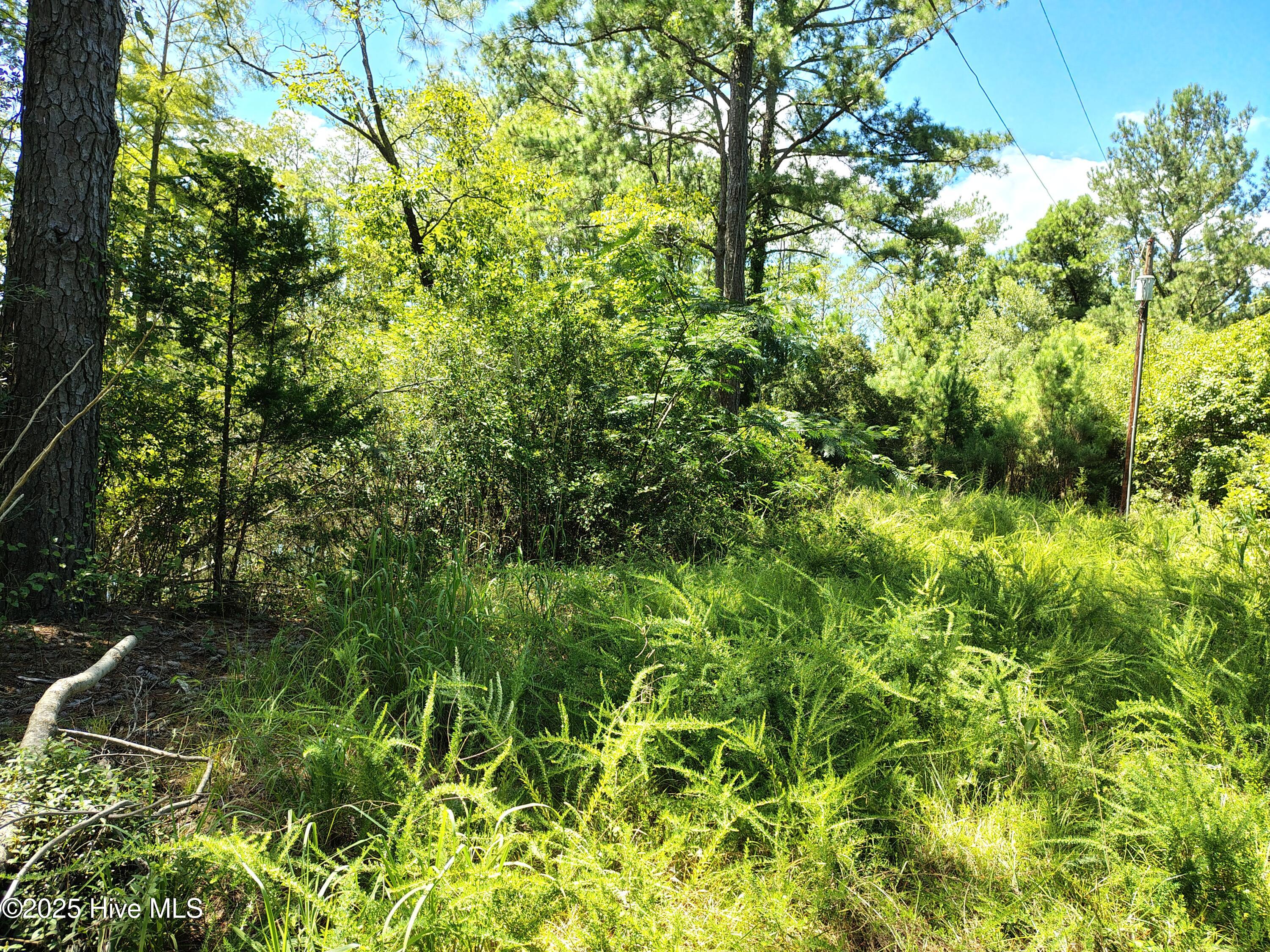 498 Poyners Road Property Photo 2