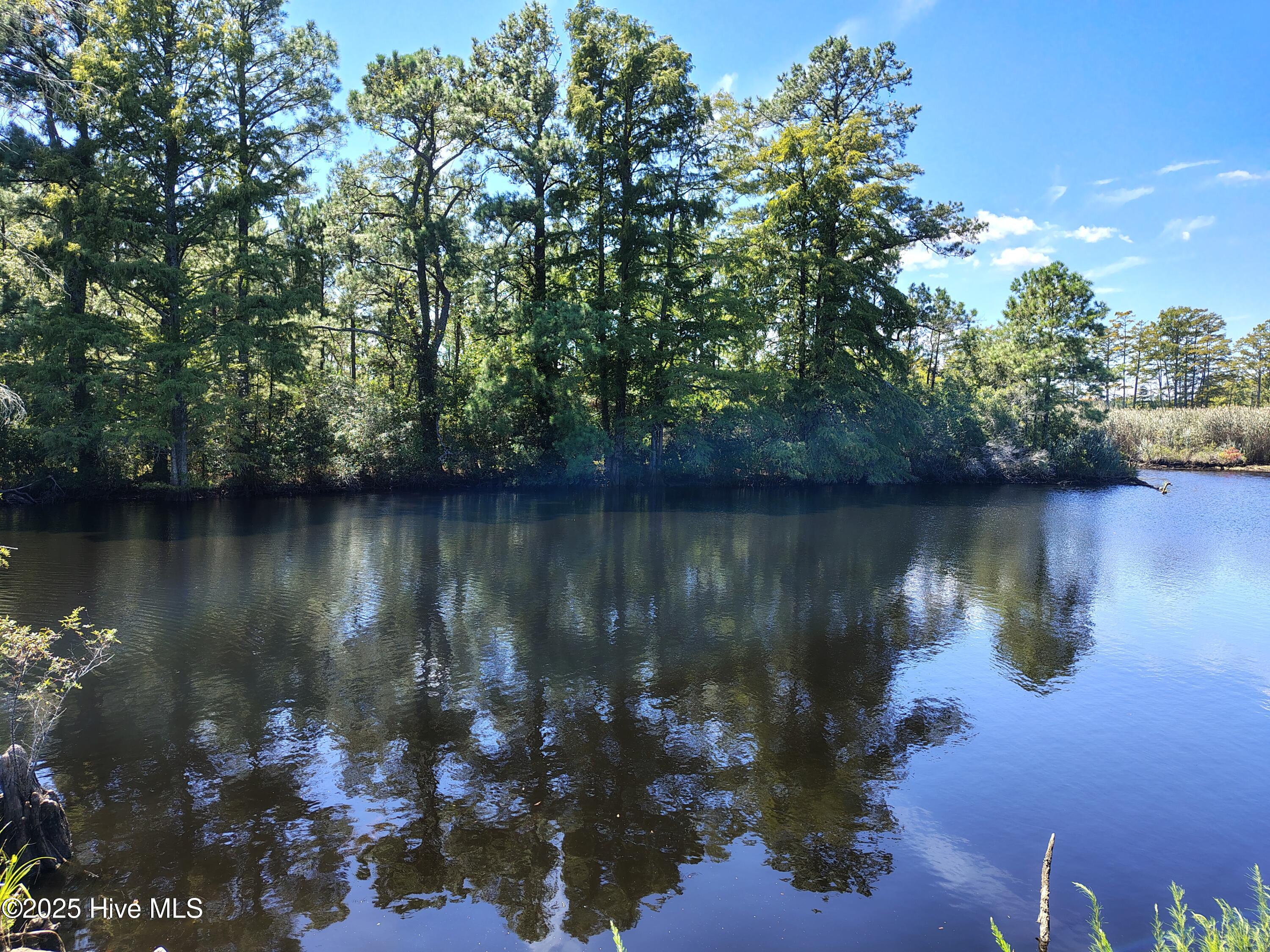 498 Poyners Road Property Photo 7