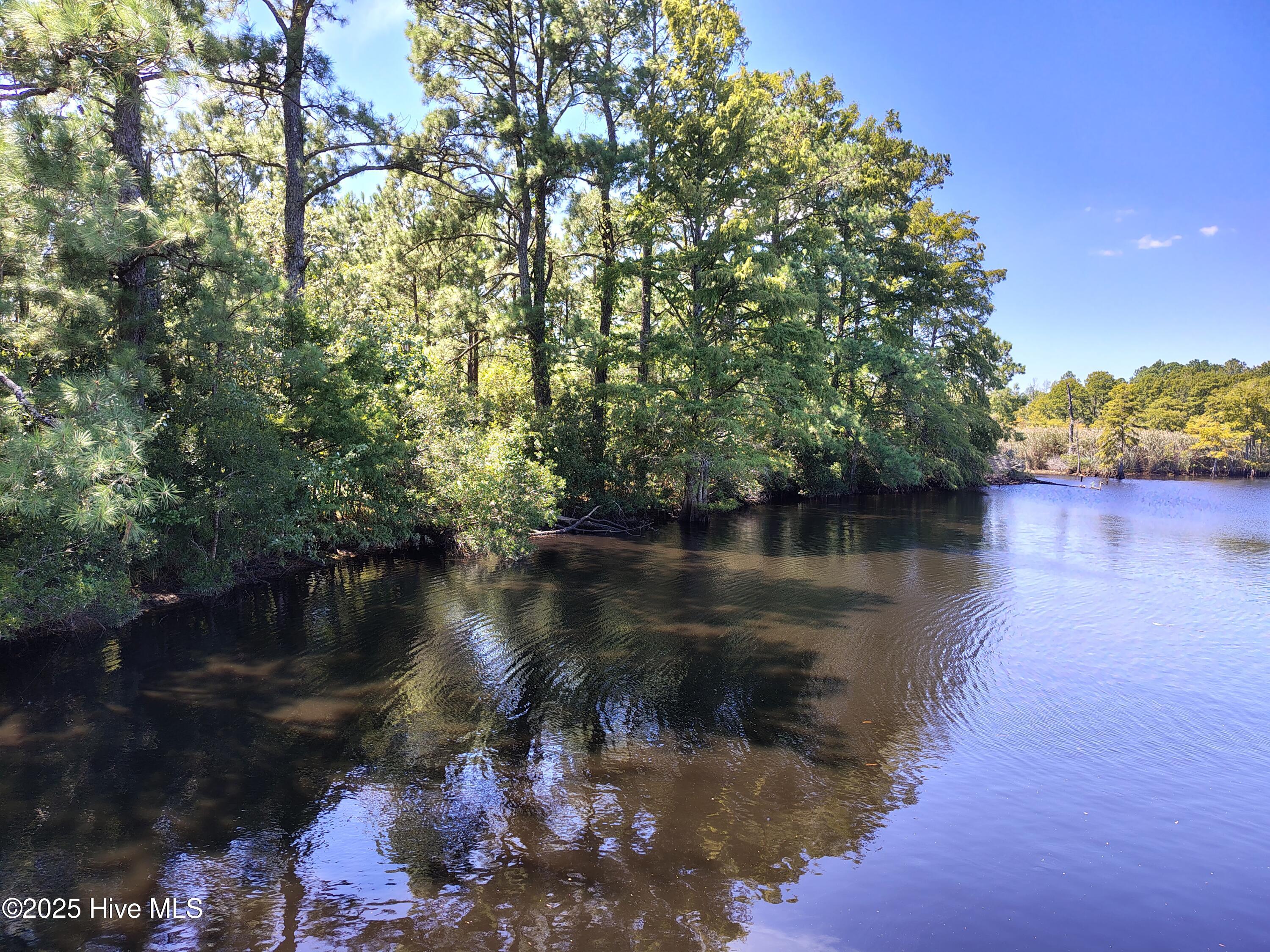 498 Poyners Road Property Photo 8