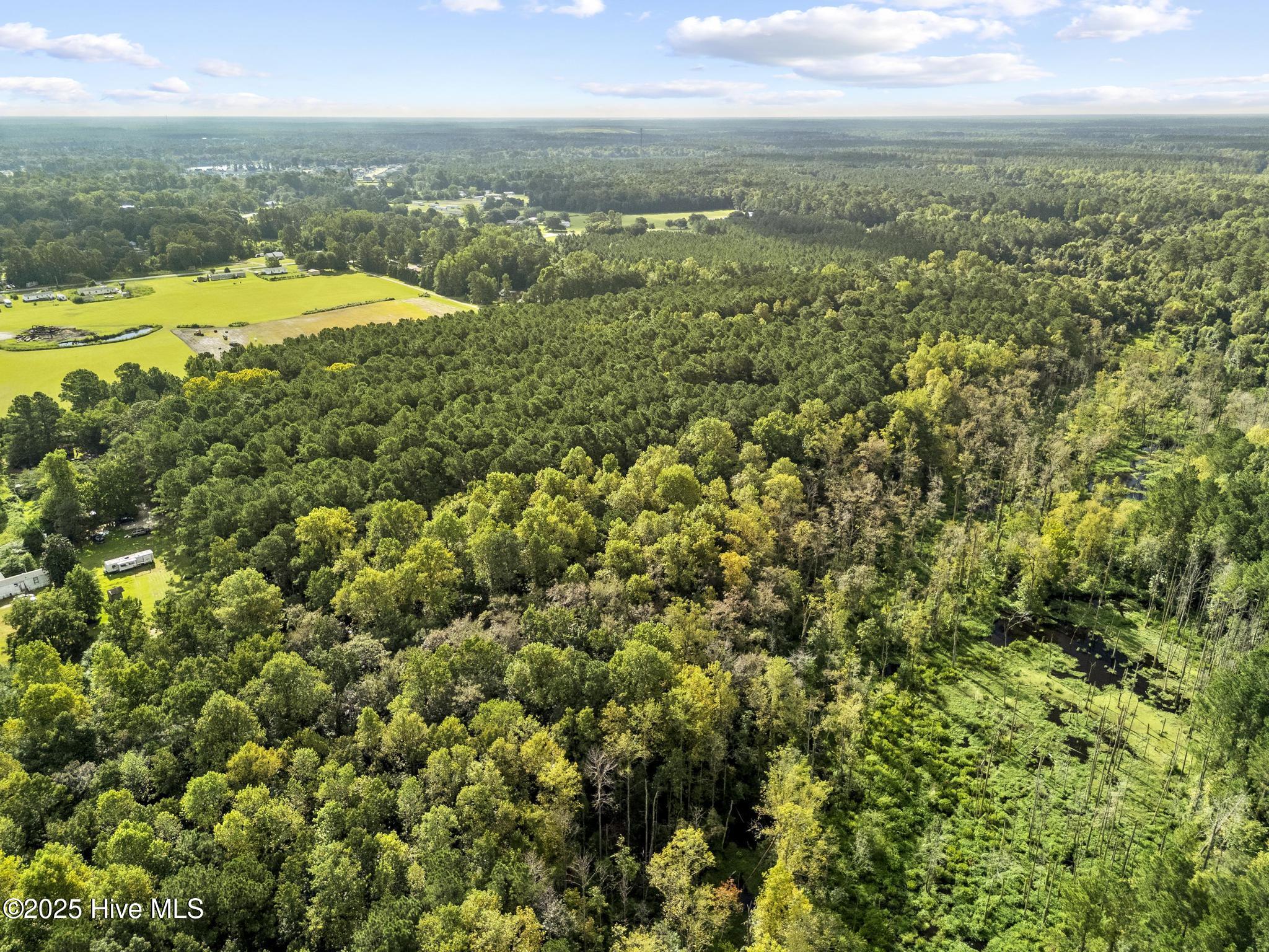 150 Mattie Lane Property Photo 5