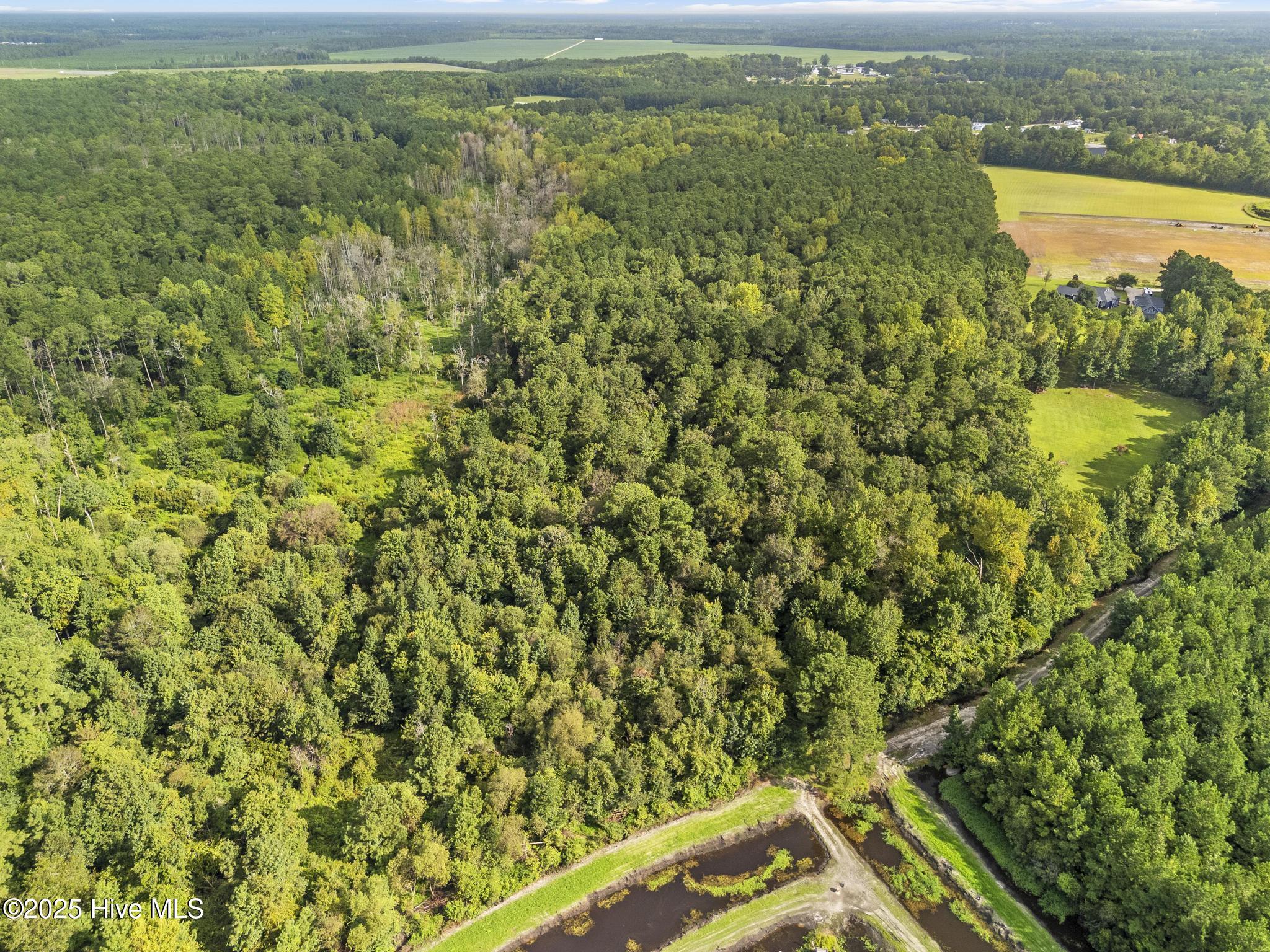 150 Mattie Lane Property Photo 6