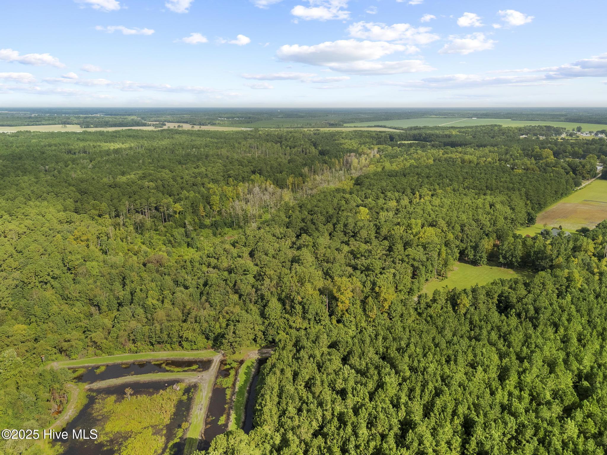 150 Mattie Lane Property Photo 7