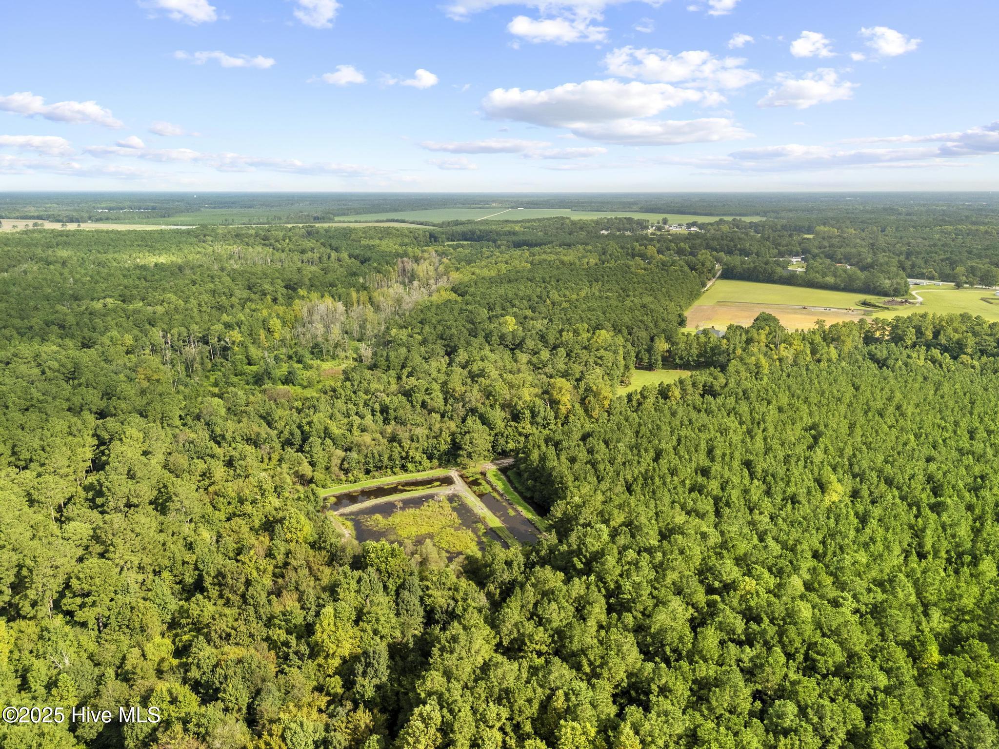 150 Mattie Lane Property Photo 8