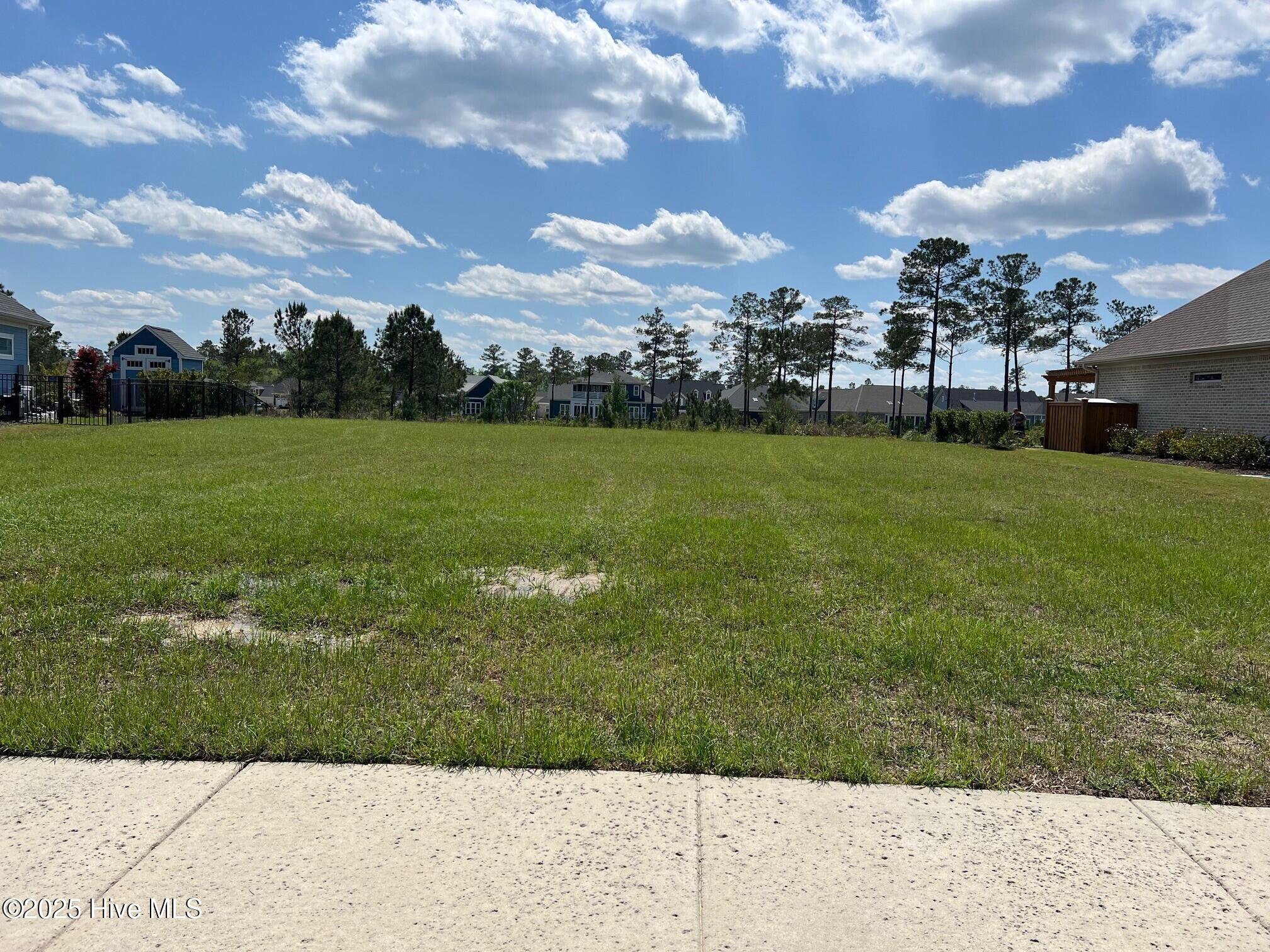 8607 Grassy Meadow Walk Property Photo 1