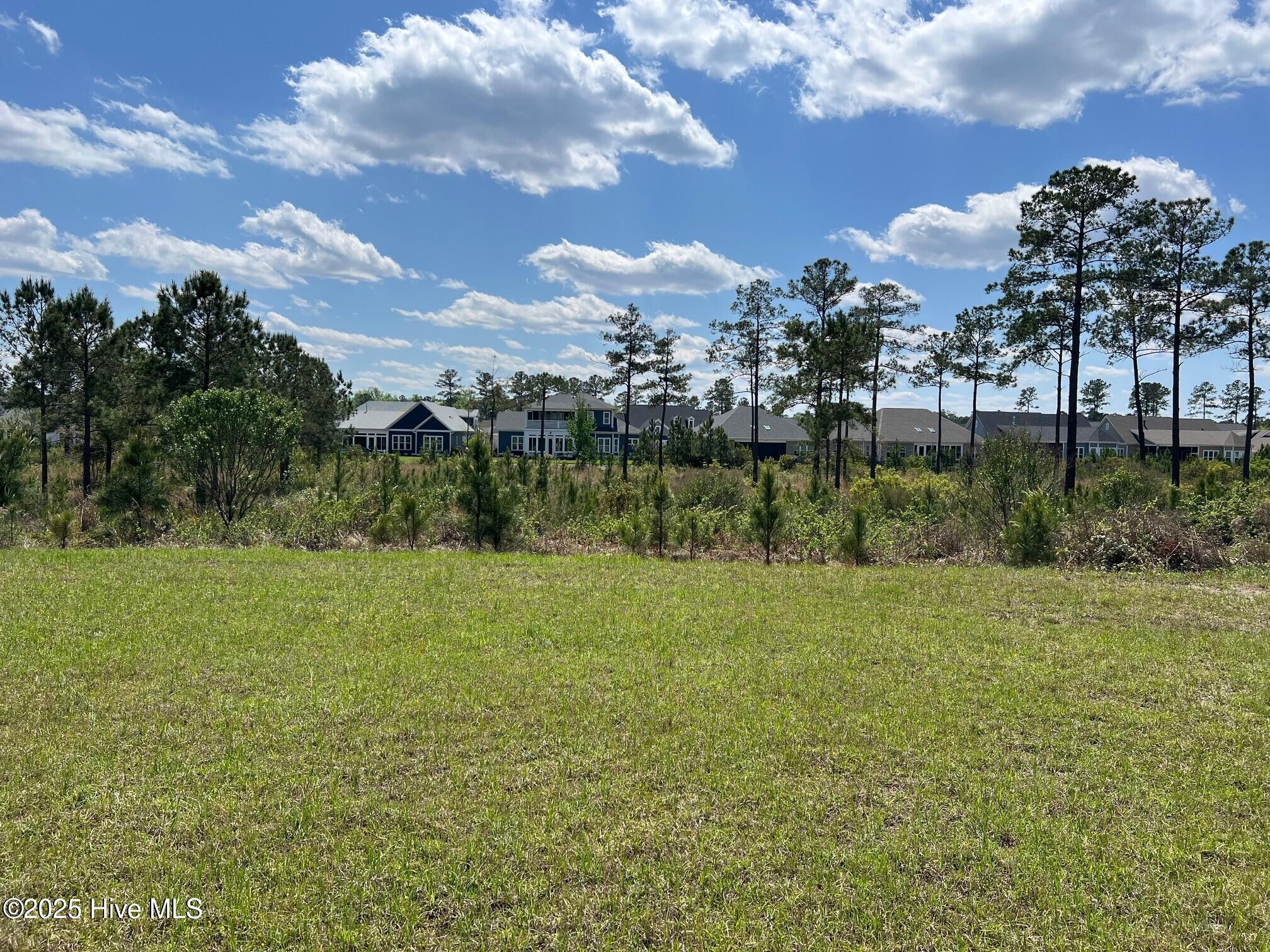 8607 Grassy Meadow Walk Property Photo 2