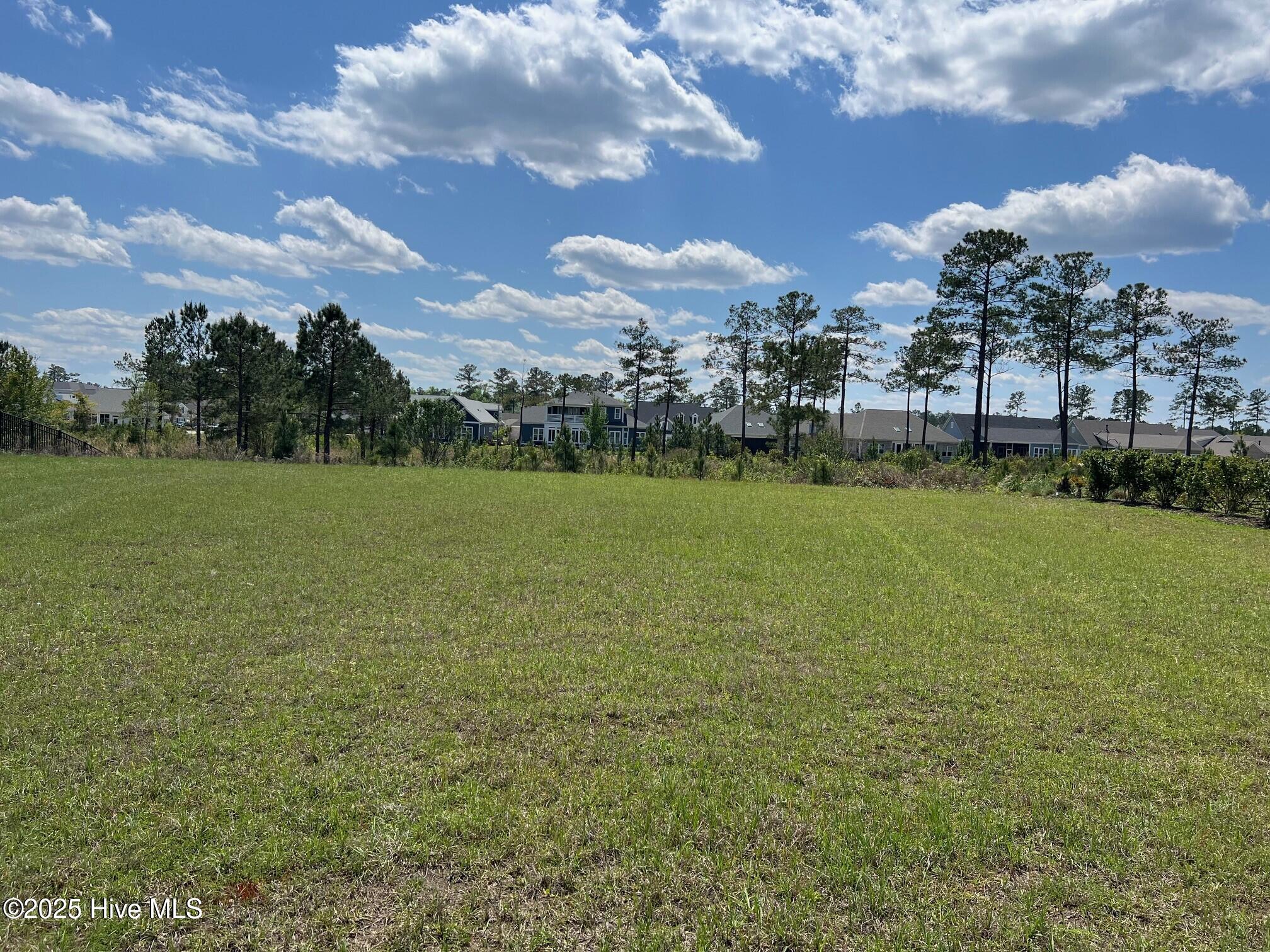 8607 Grassy Meadow Walk Property Photo 3