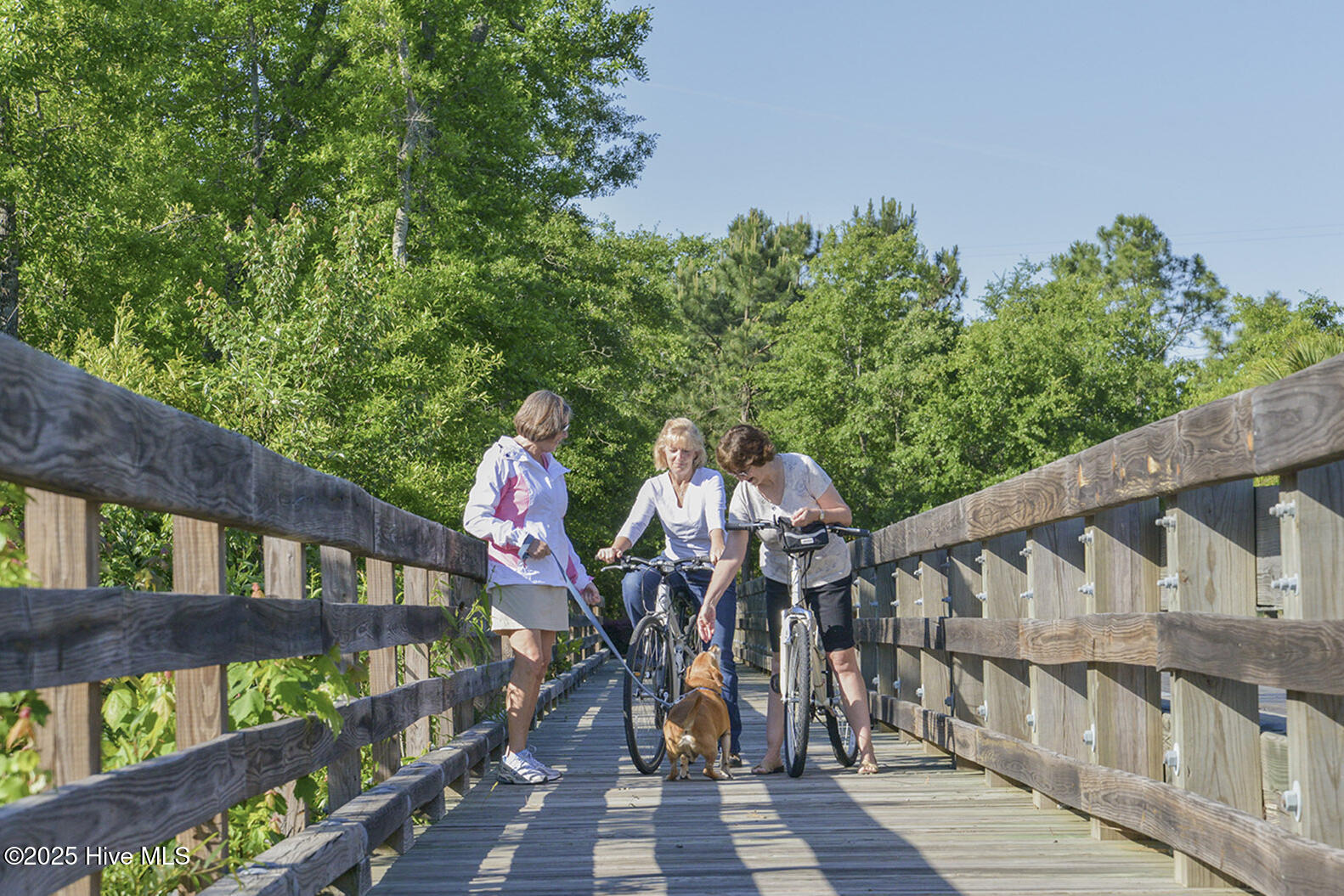 8607 Grassy Meadow Walk Property Photo 17