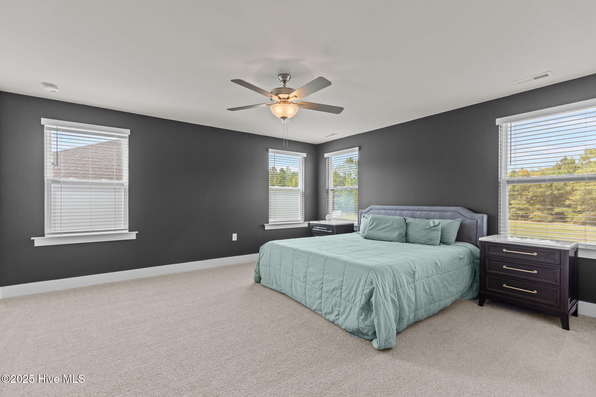 351 Fast Pitch Lane Property Photo 21