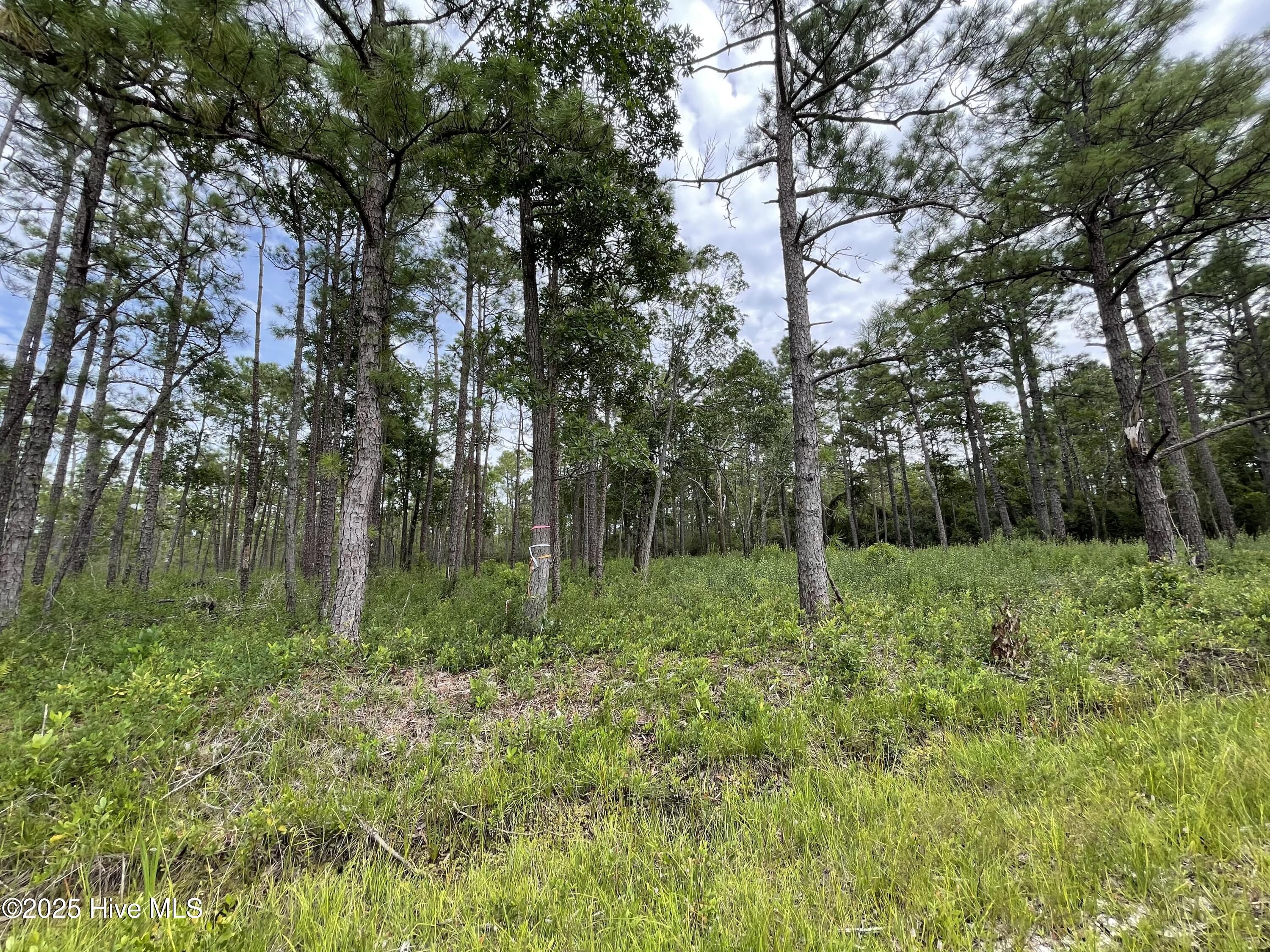 811 Brittany Road Property Photo 1