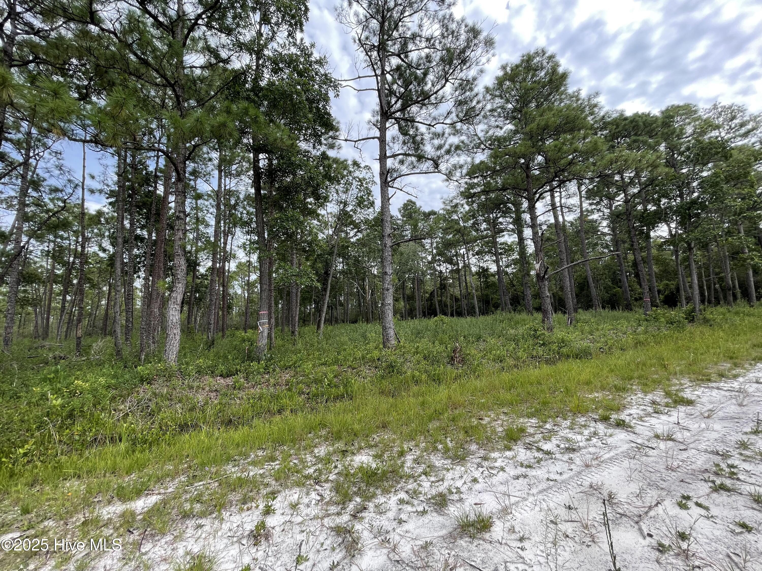 811 Brittany Road Property Photo 2