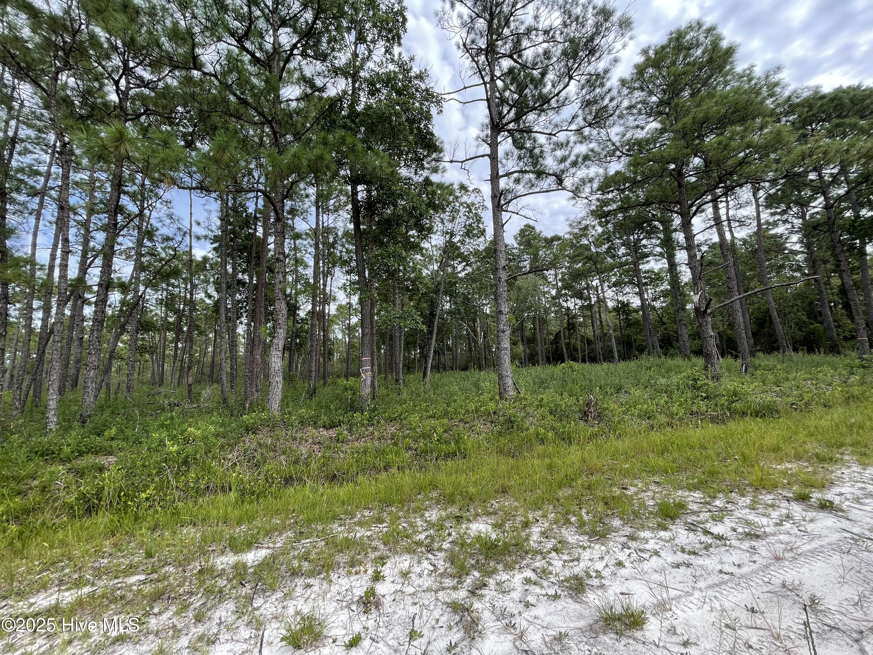 811 Brittany Road Property Photo 3