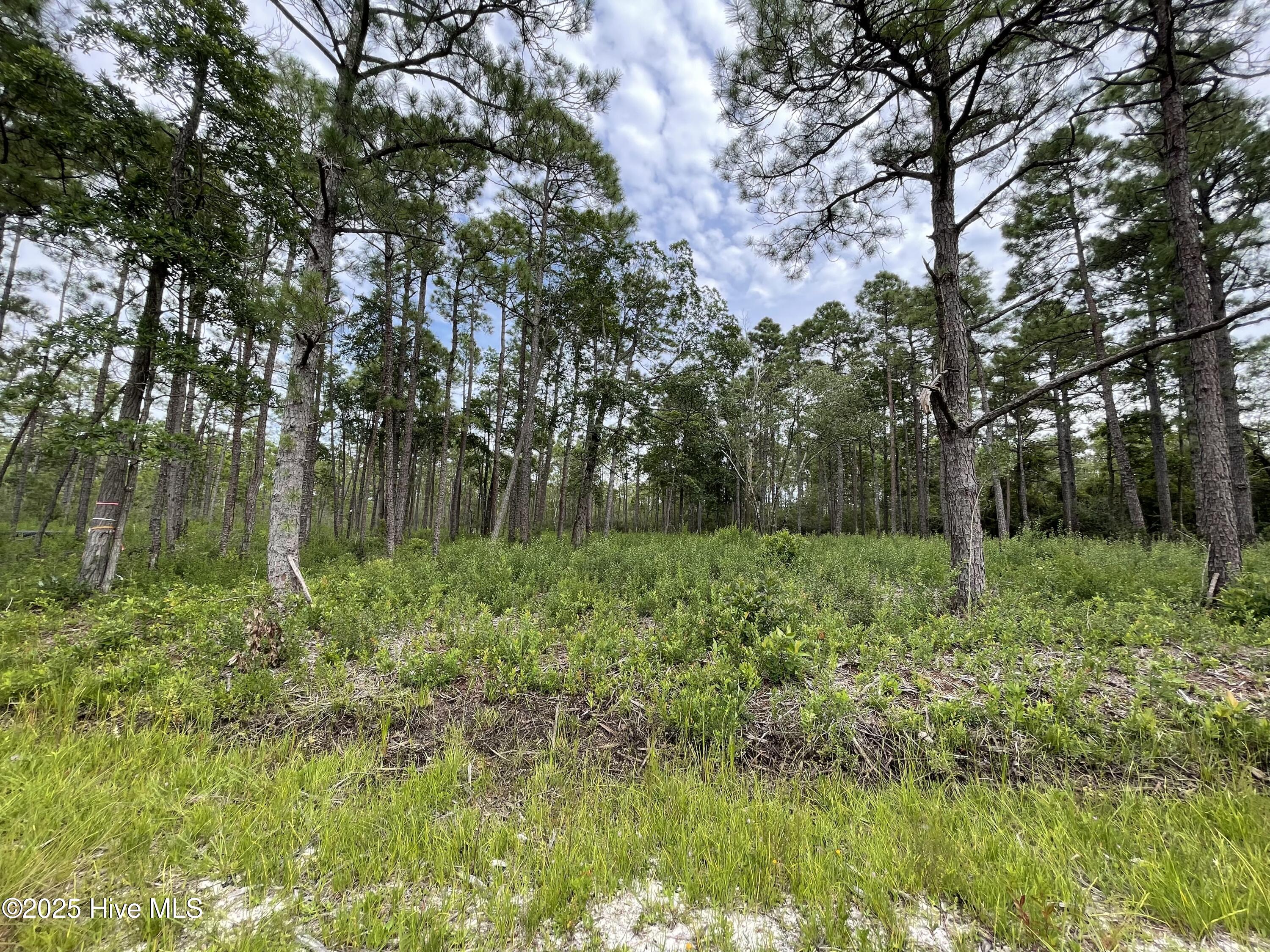 811 Brittany Road Property Photo 4