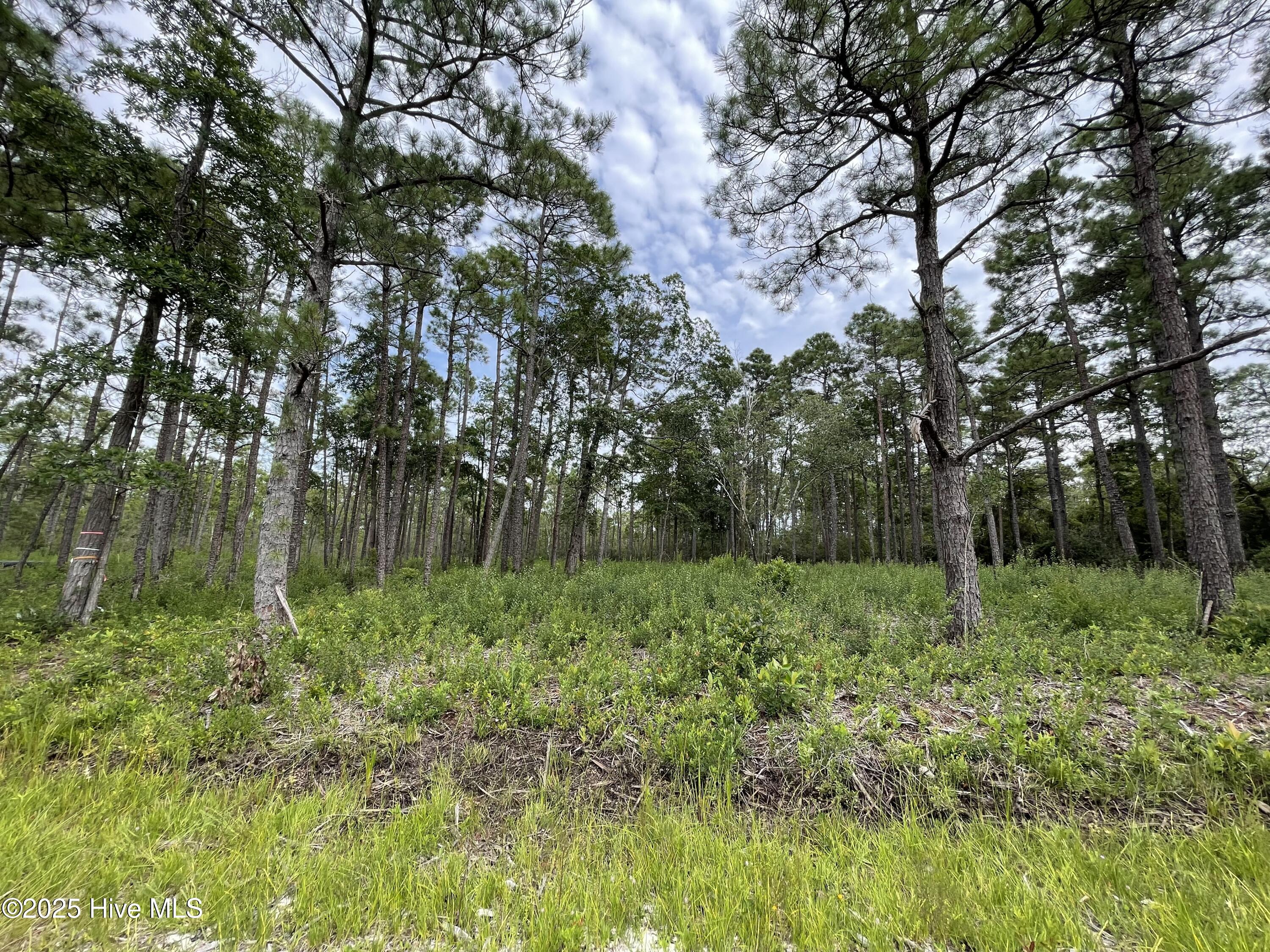 811 Brittany Road Property Photo 5