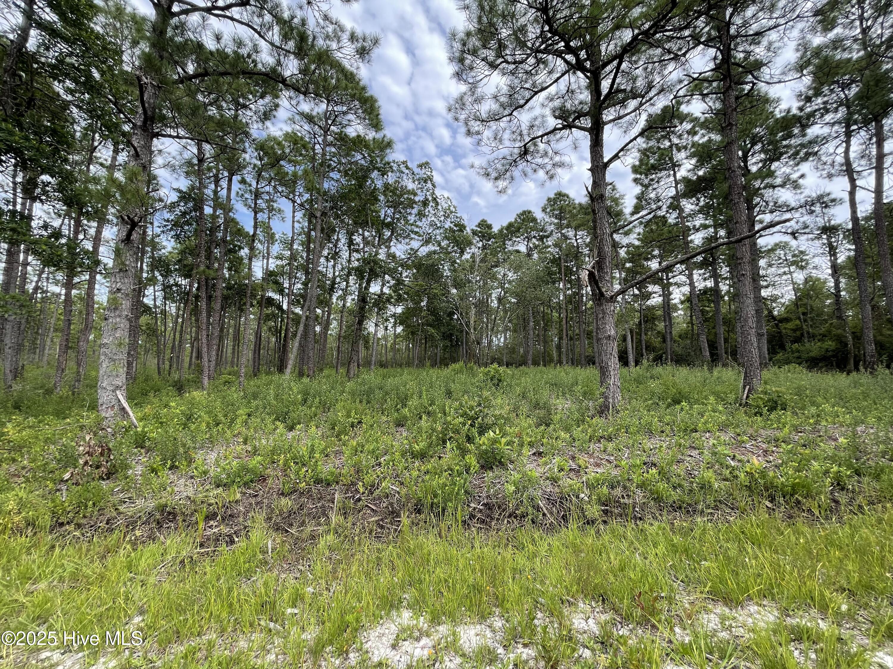 811 Brittany Road Property Photo 6