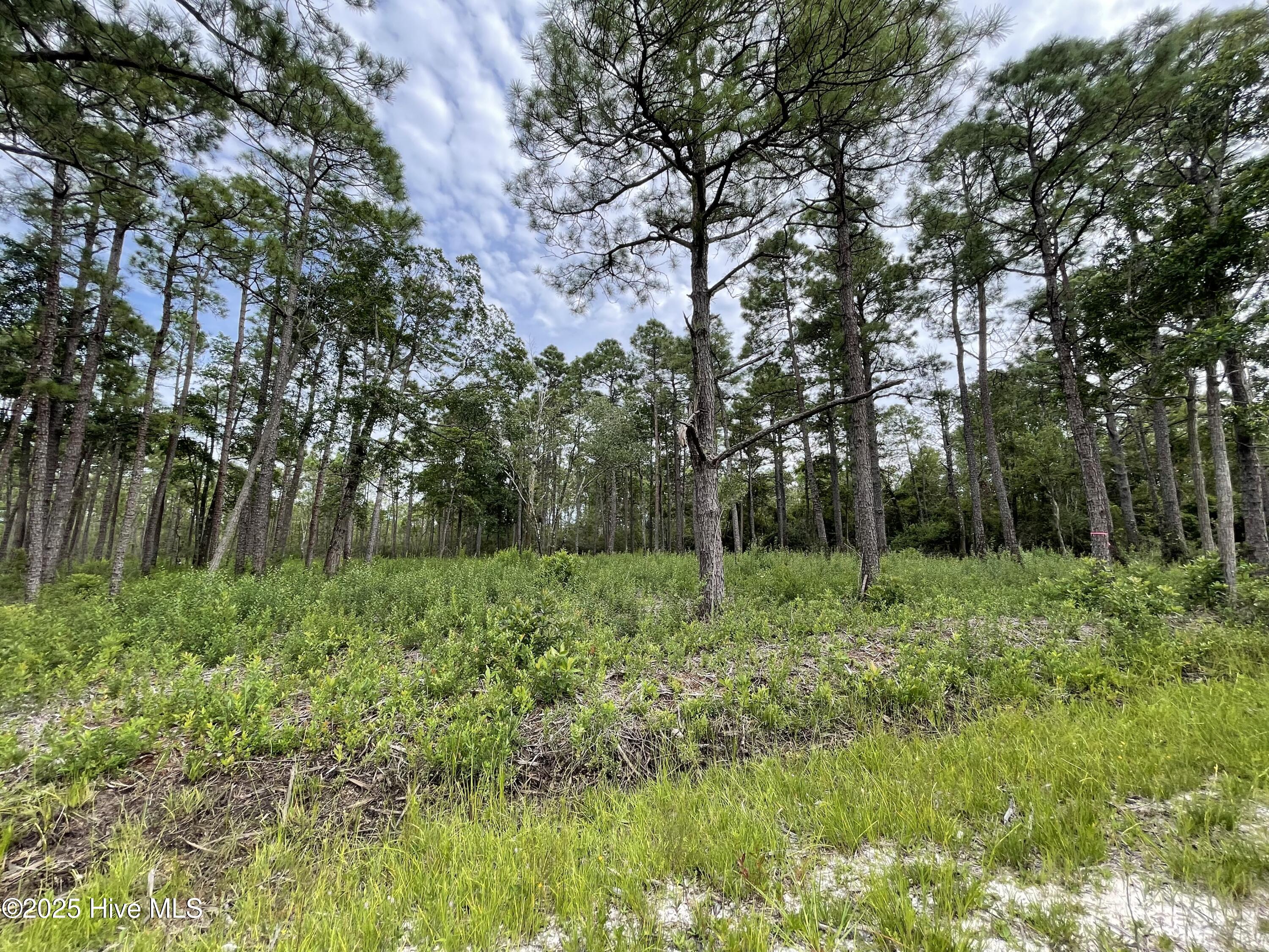 811 Brittany Road Property Photo 7