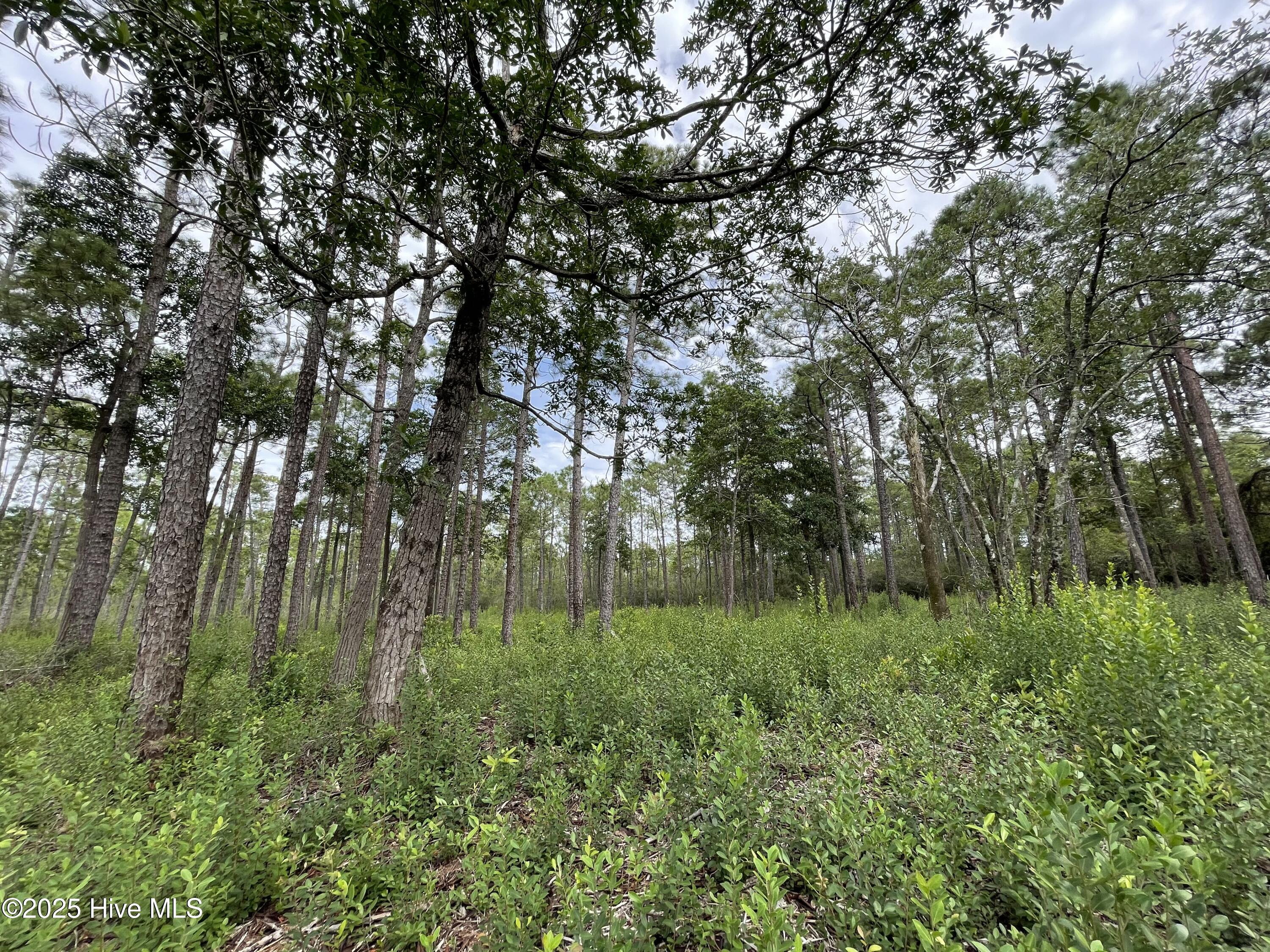 811 Brittany Road Property Photo 8