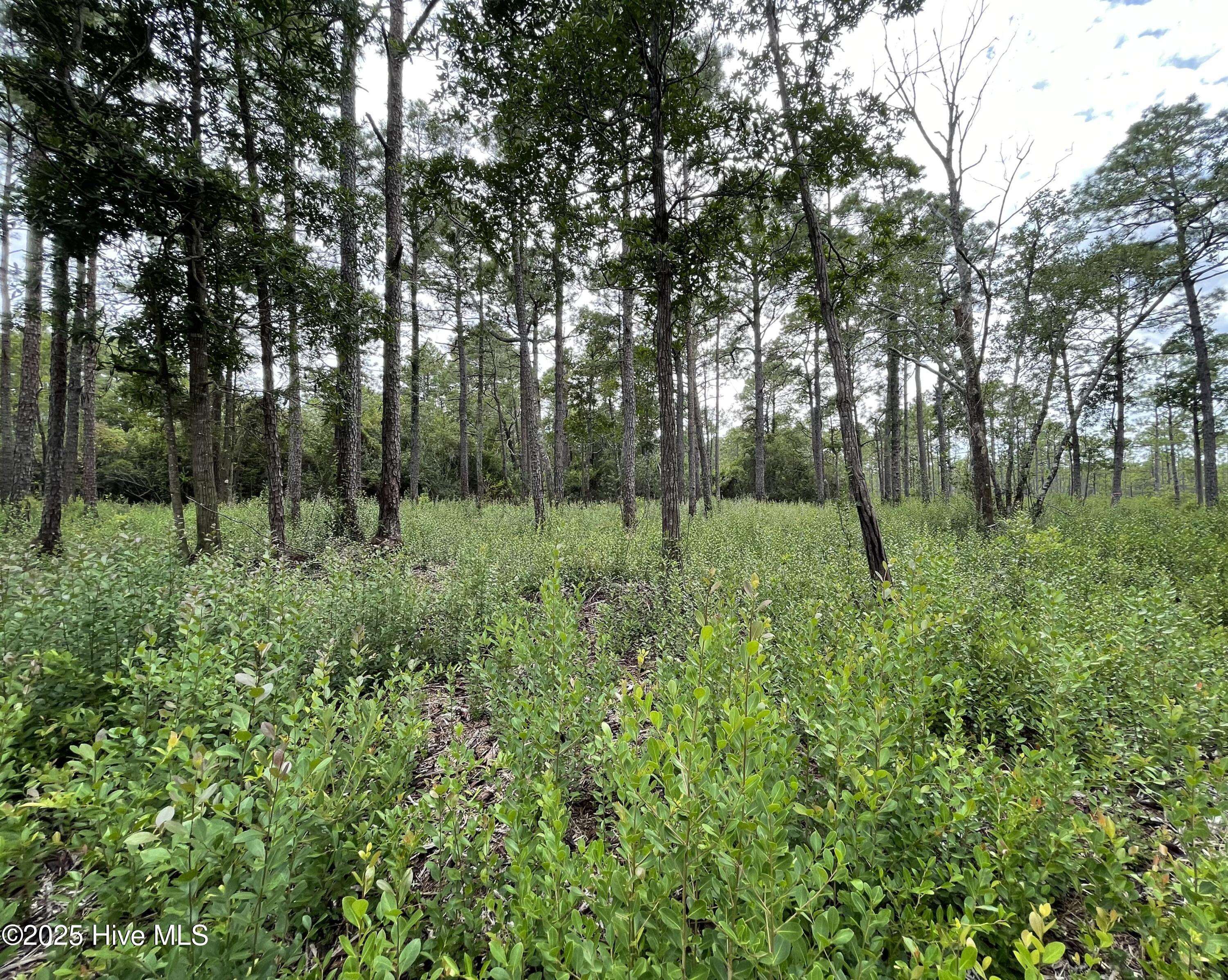 811 Brittany Road Property Photo 11
