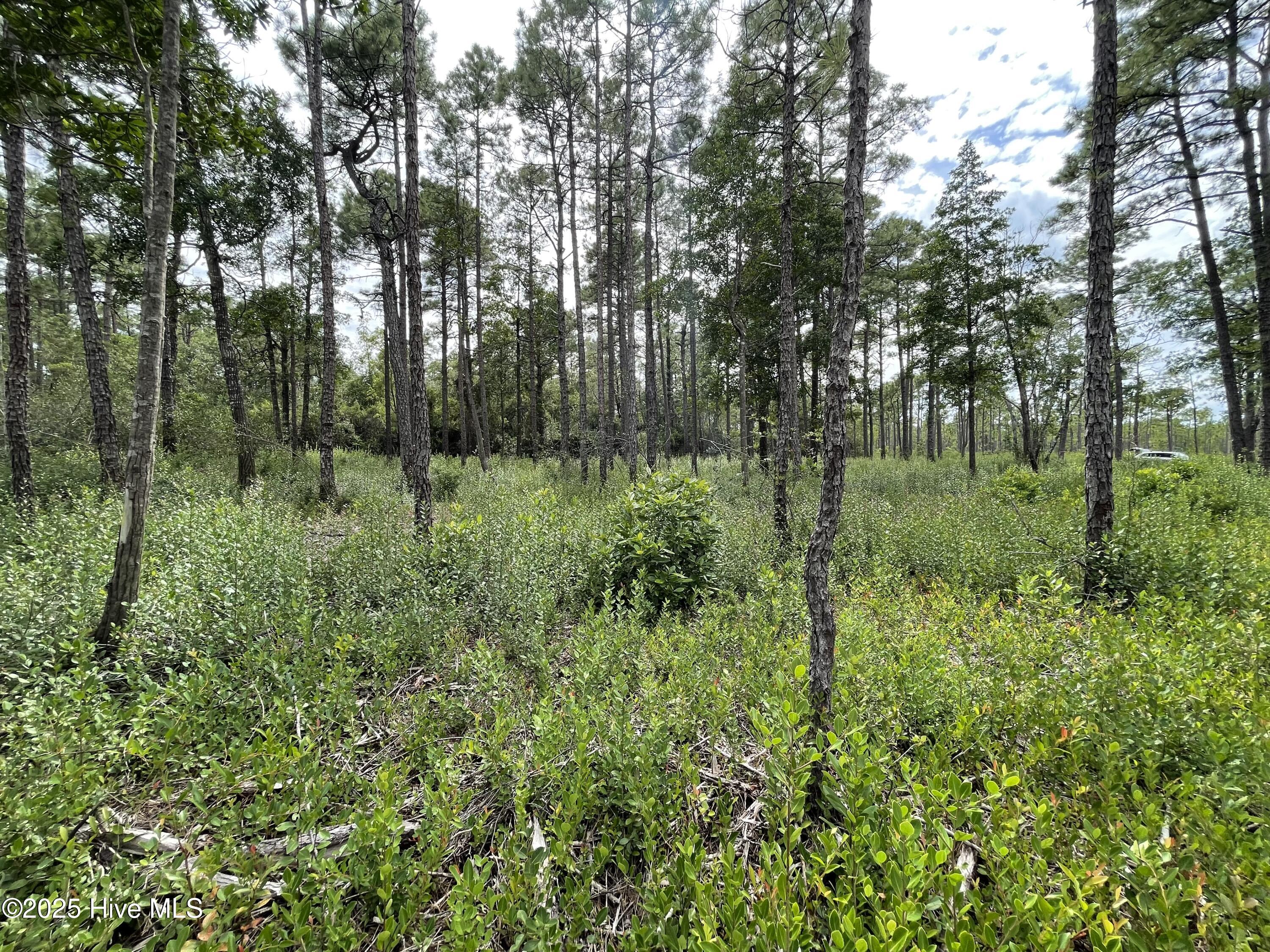811 Brittany Road Property Photo 13