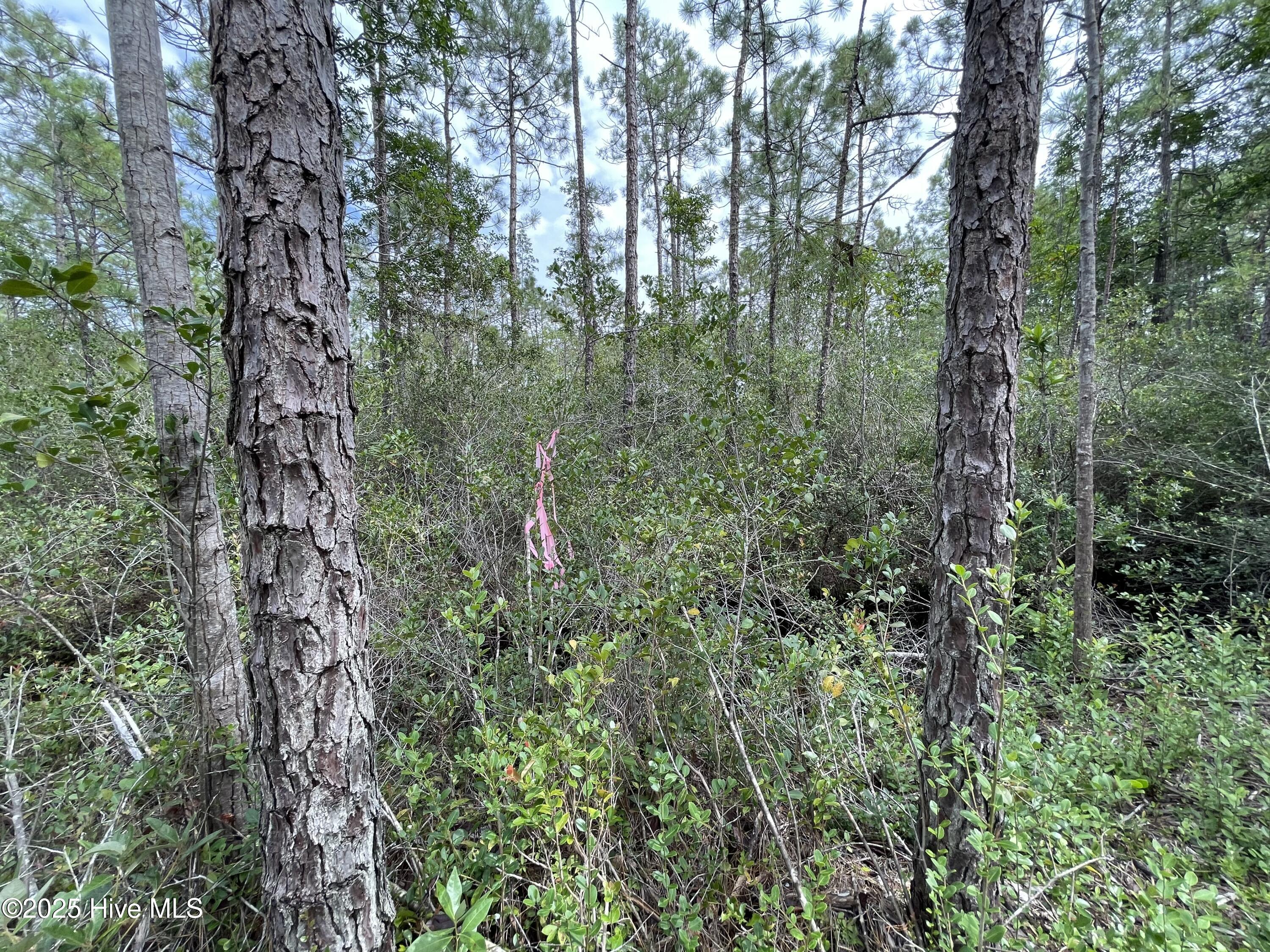 811 Brittany Road Property Photo 14