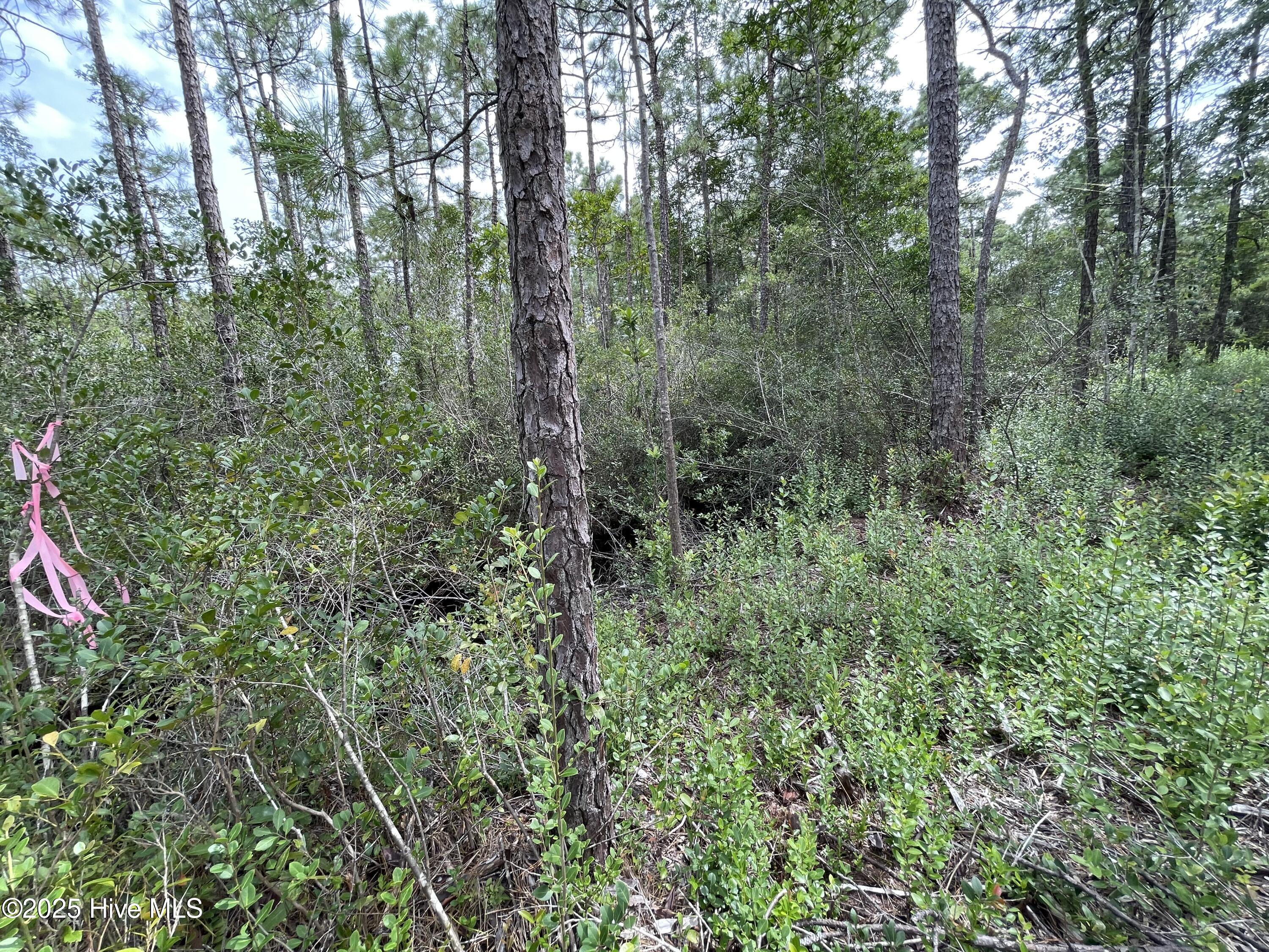 811 Brittany Road Property Photo 15
