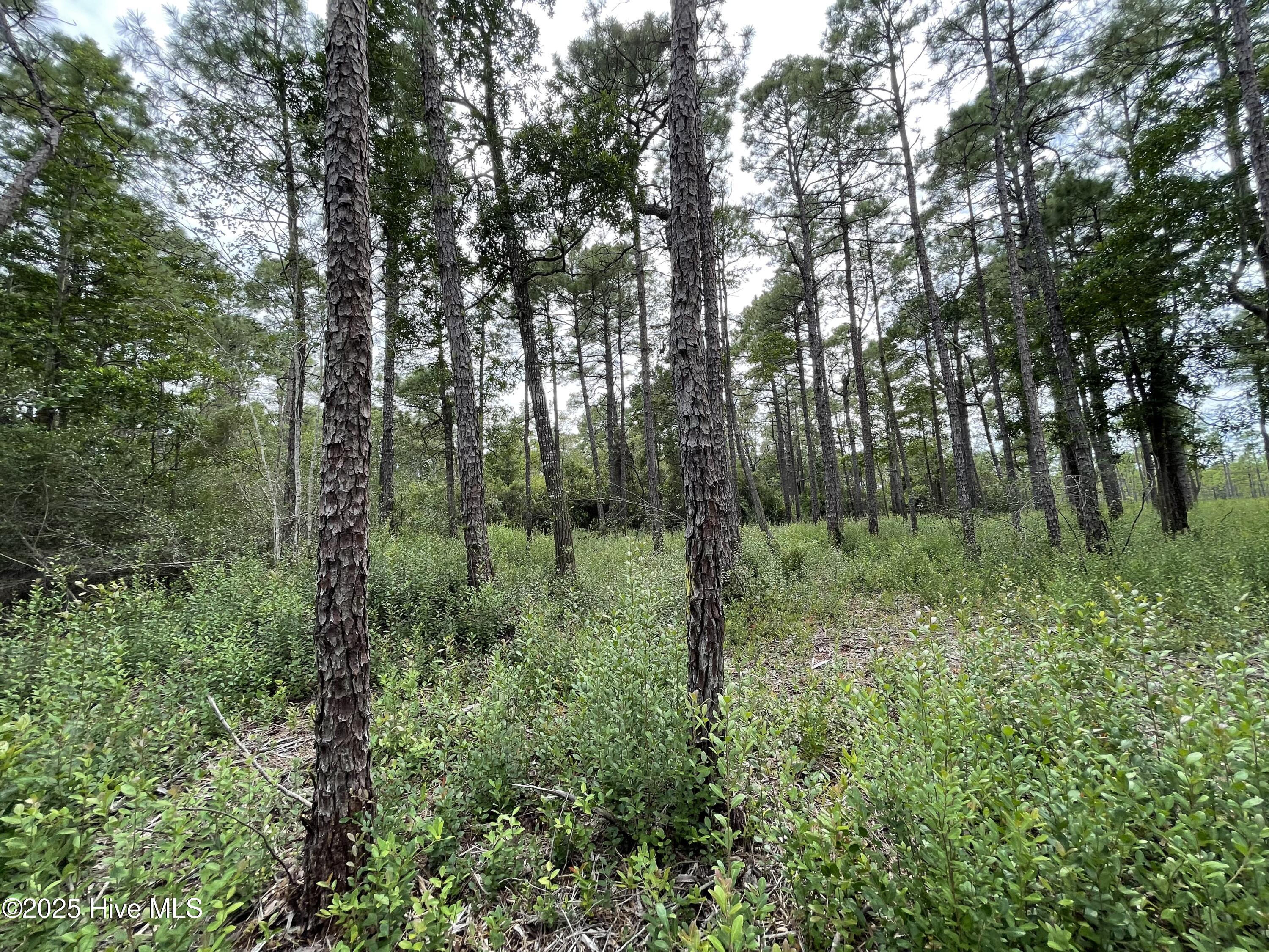 811 Brittany Road Property Photo 16