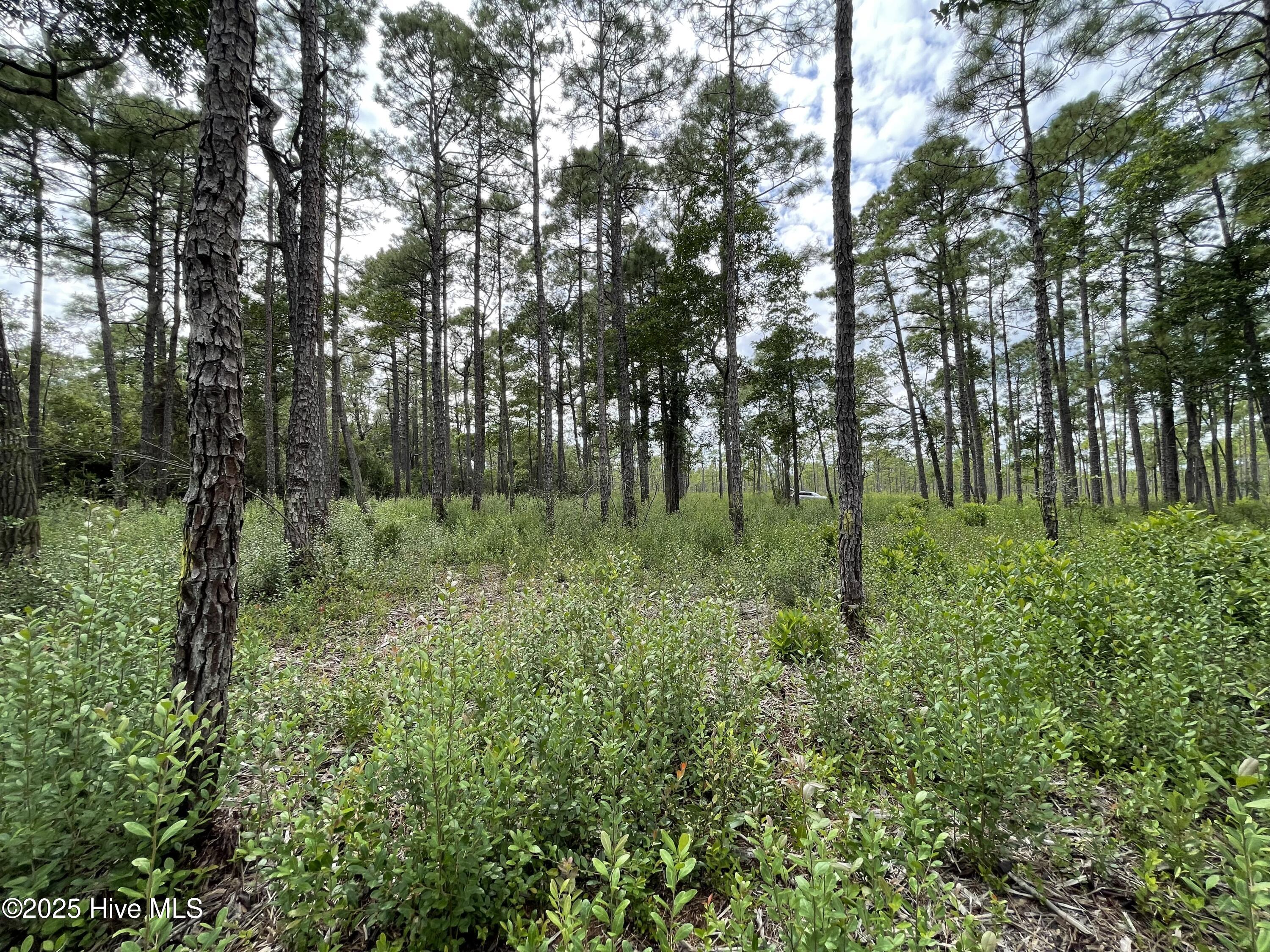 811 Brittany Road Property Photo 17