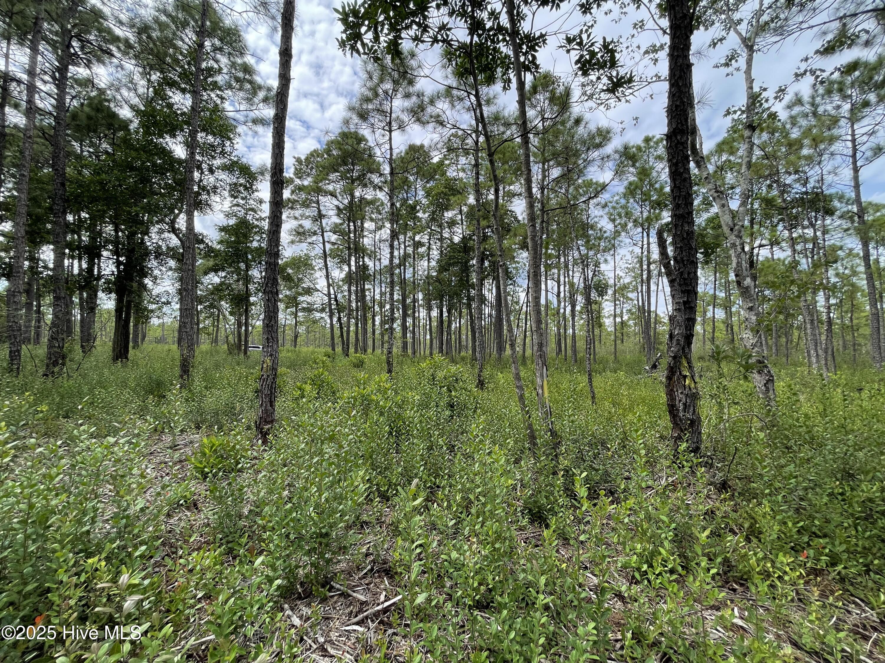 811 Brittany Road Property Photo 18