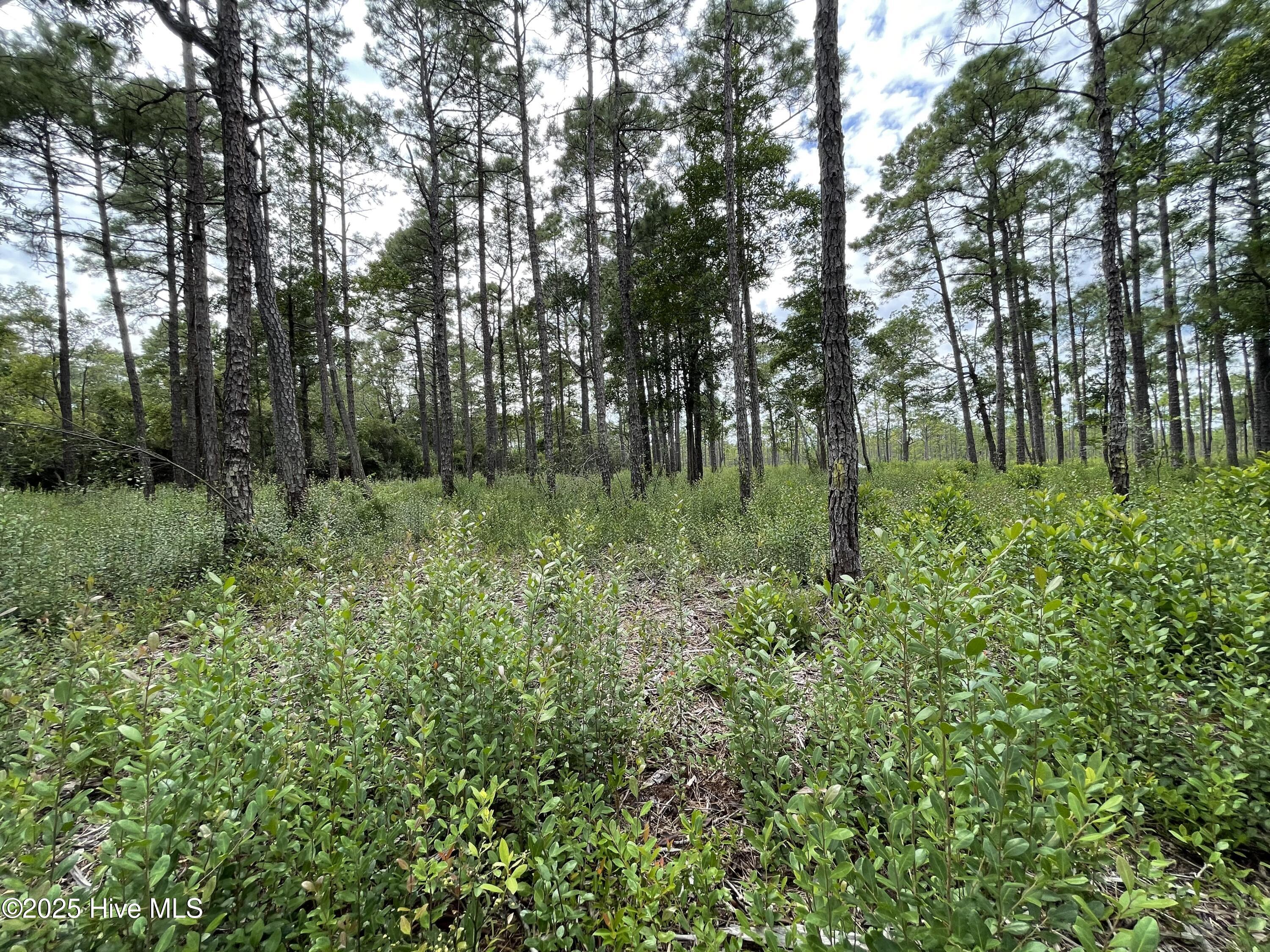 811 Brittany Road Property Photo 19