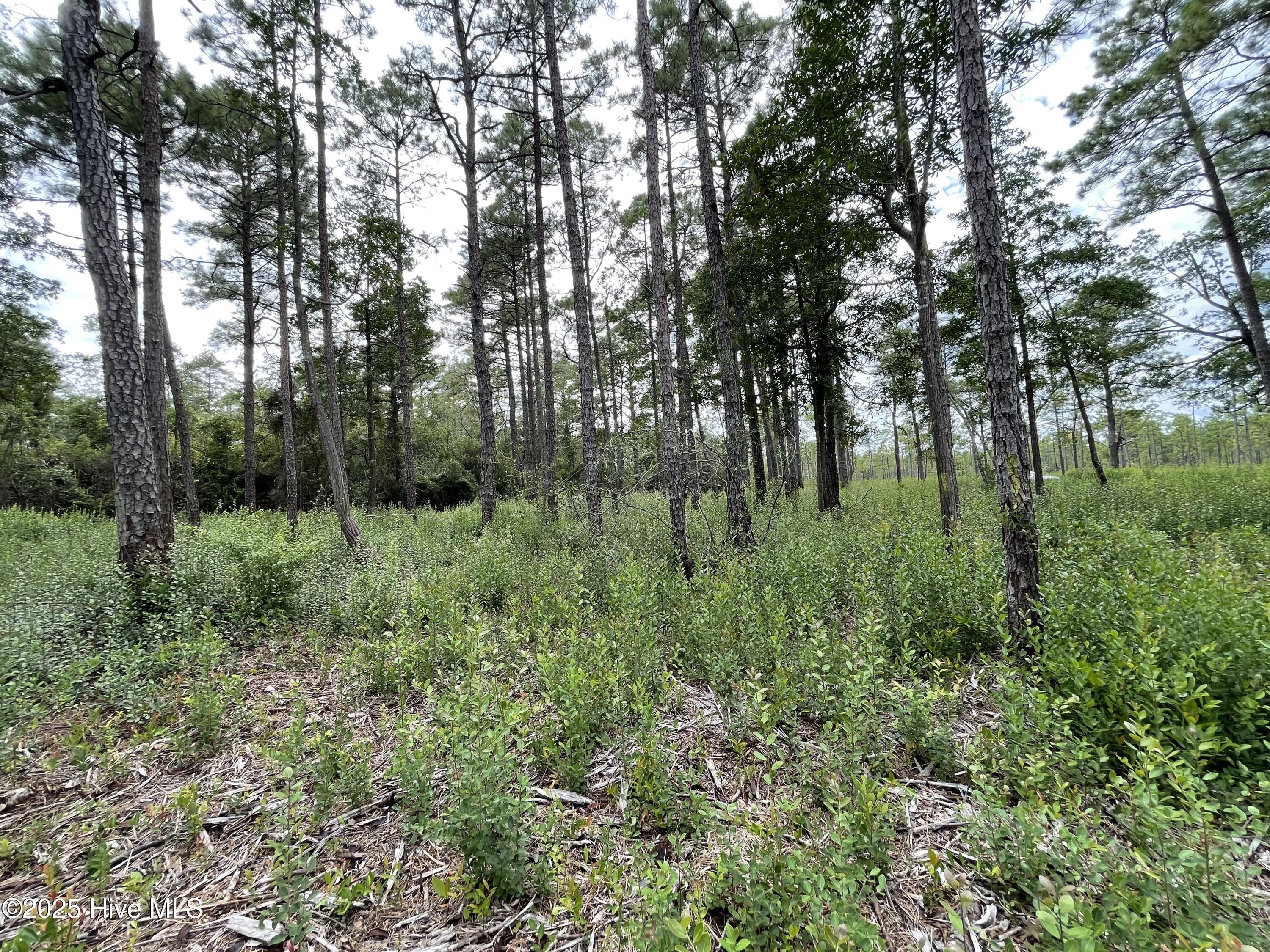811 Brittany Road Property Photo 21