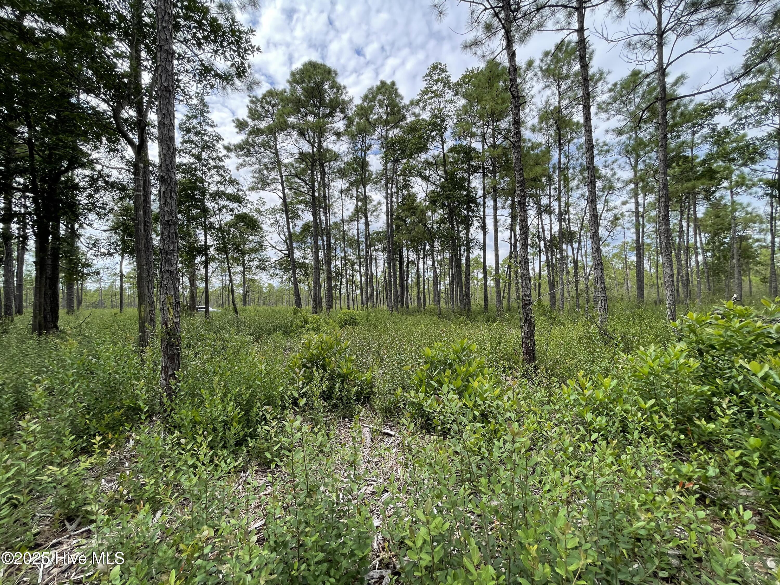 811 Brittany Road Property Photo 22
