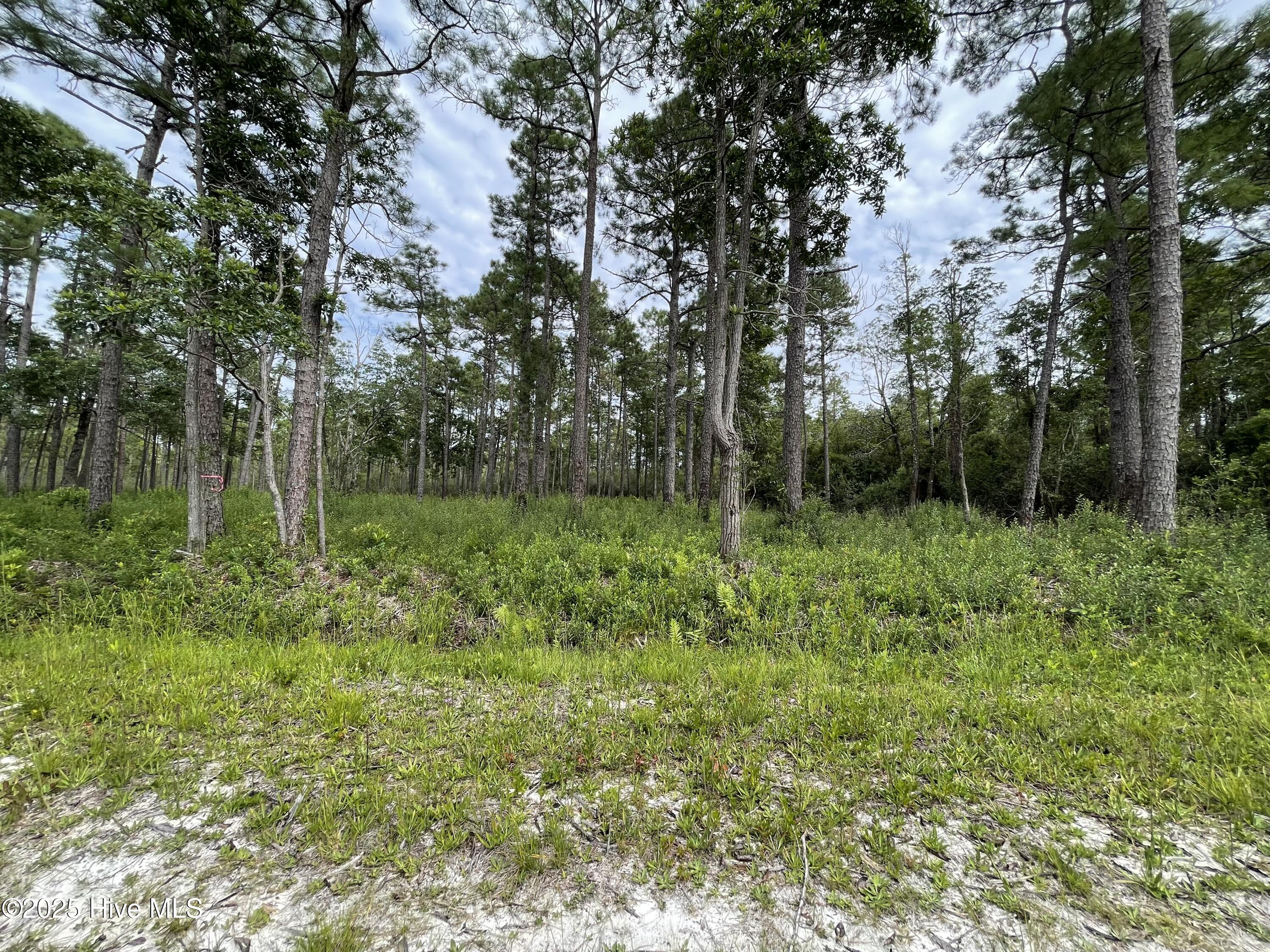 811 Brittany Road Property Photo 23