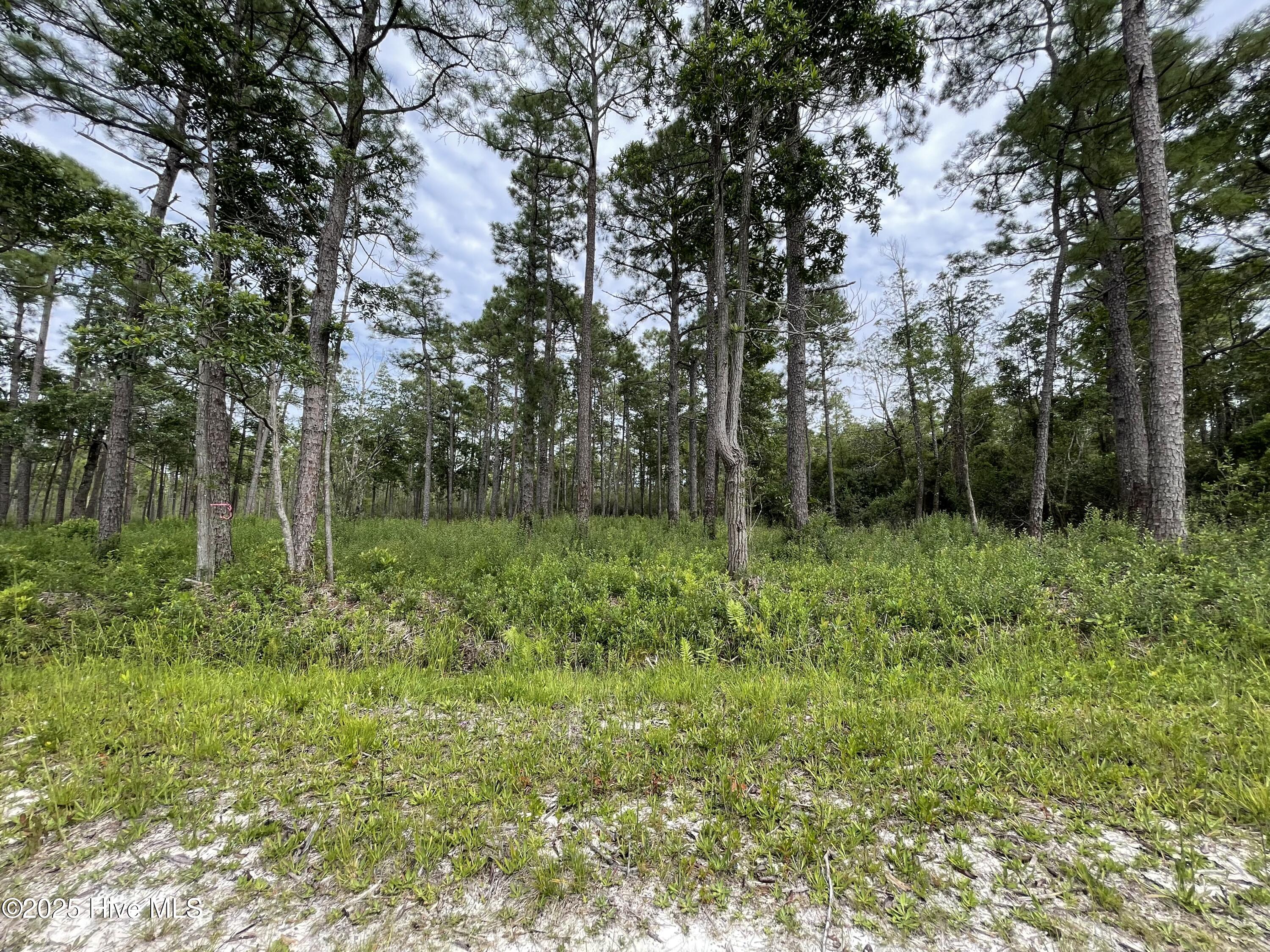 811 Brittany Road Property Photo 25
