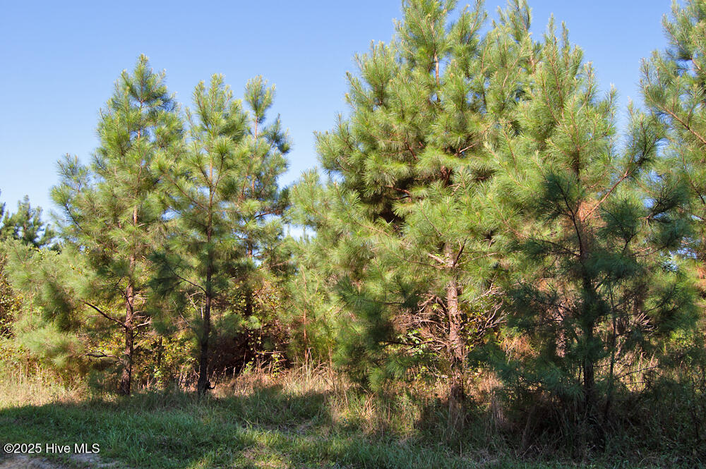 0 Nc Highway 33 Property Photo 21