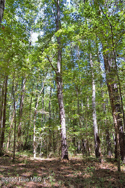 0 Nc Highway 33 Property Photo 29