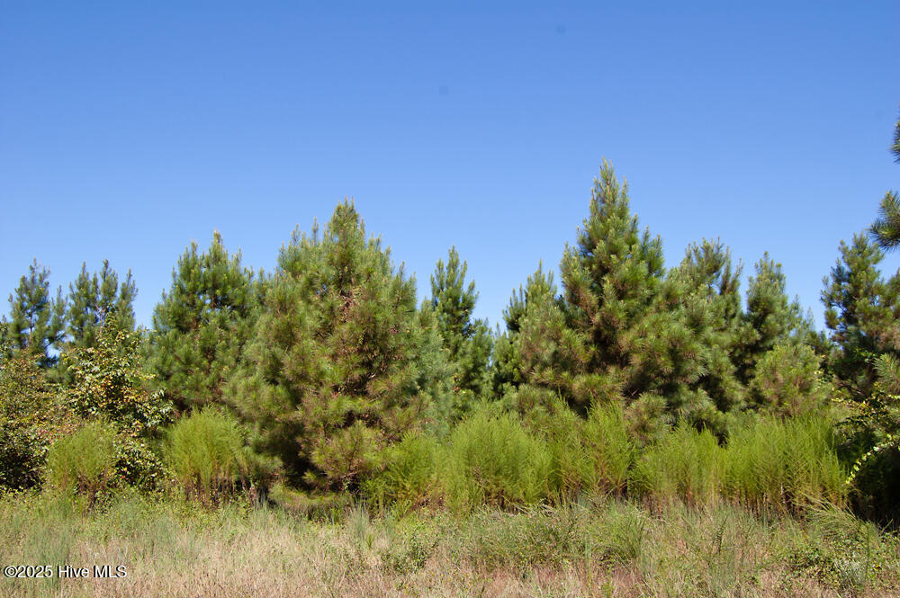 0 Nc Highway 33 Property Photo 37