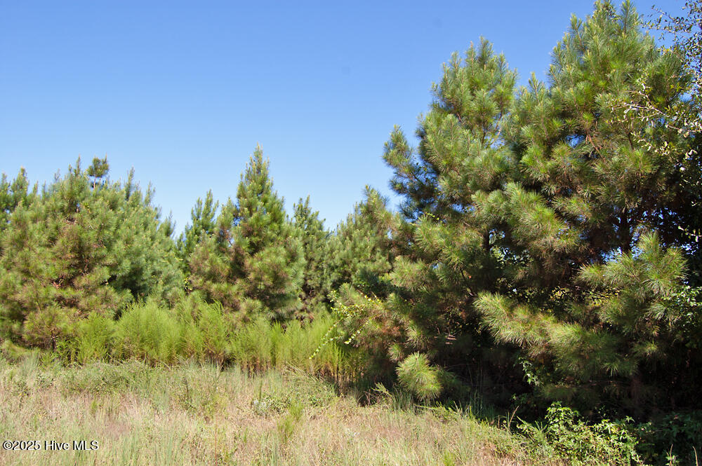 0 Nc Highway 33 Property Photo 39