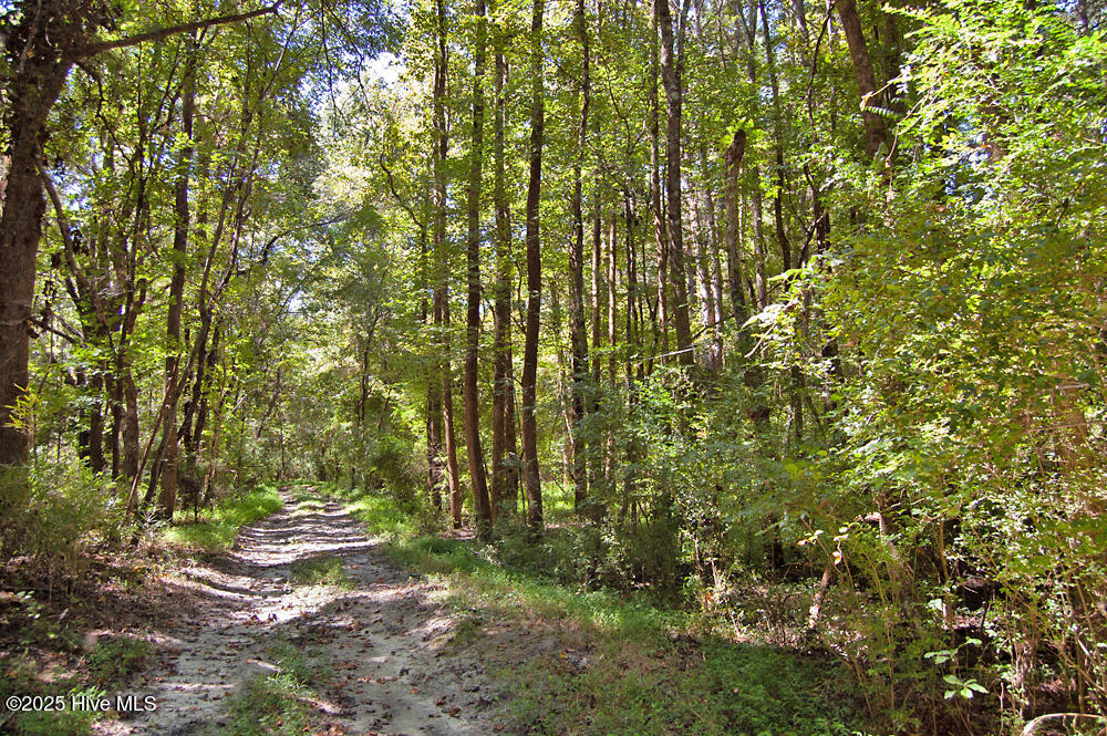 0 Nc Highway 33 Property Photo 50