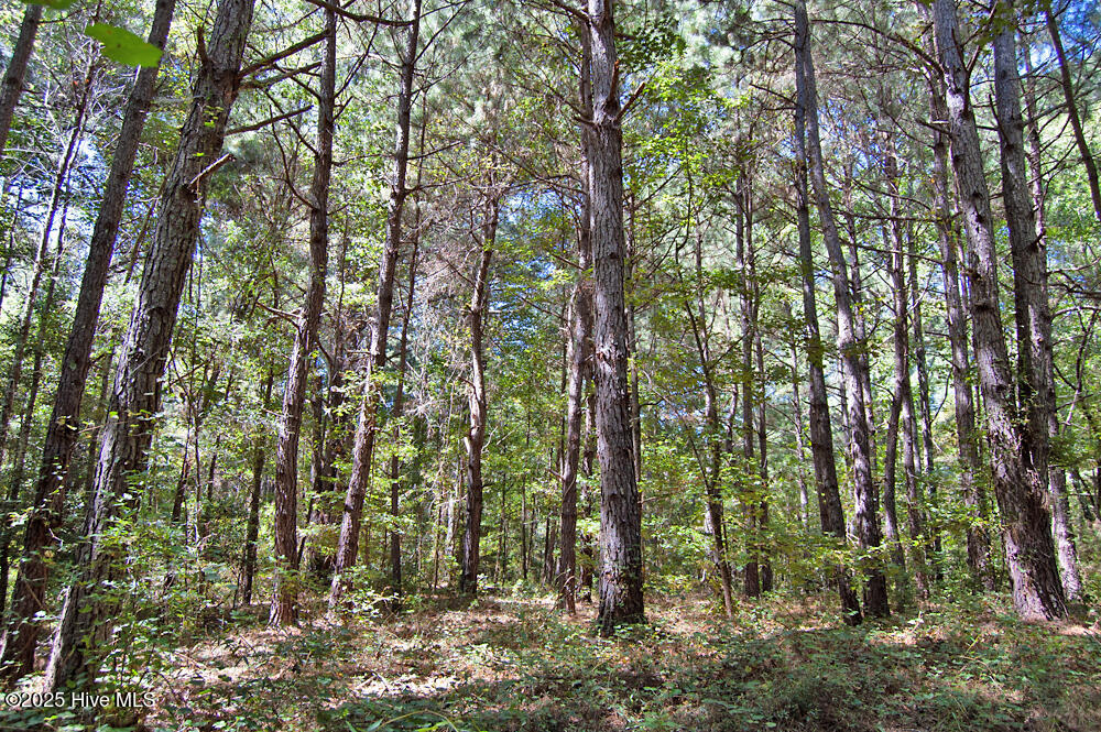 0 Nc Highway 33 Property Photo 53