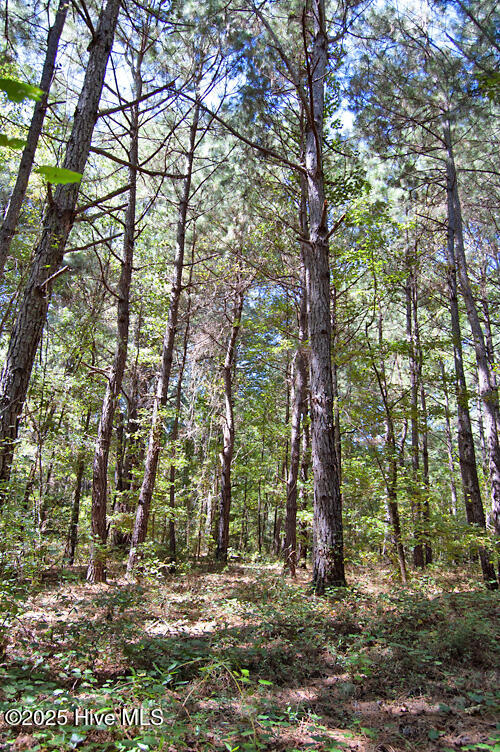 0 Nc Highway 33 Property Photo 55
