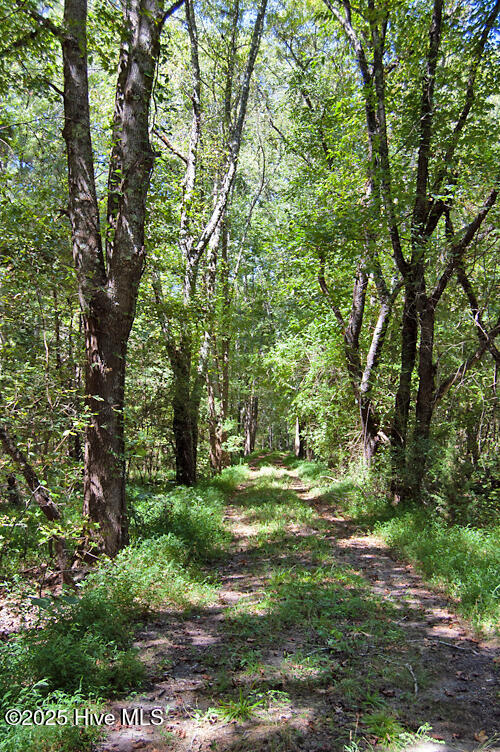 0 Nc Highway 33 Property Photo 56