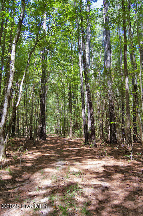 0 Nc Highway 33 Property Photo 59