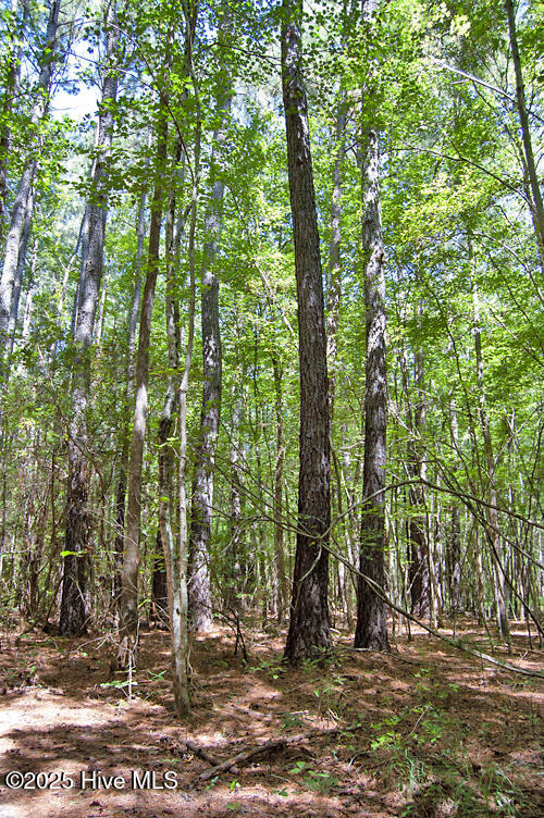 0 Nc Highway 33 Property Photo 61