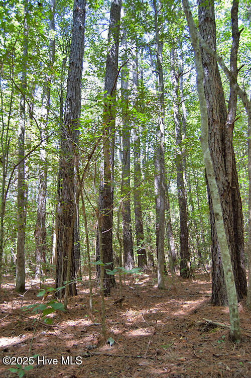 0 Nc Highway 33 Property Photo 63