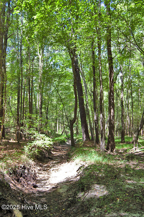 0 Nc Highway 33 Property Photo 66