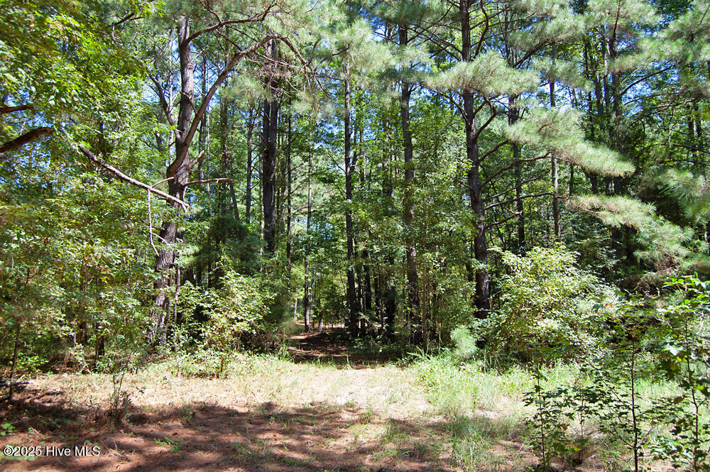 0 Nc Highway 33 Property Photo 67