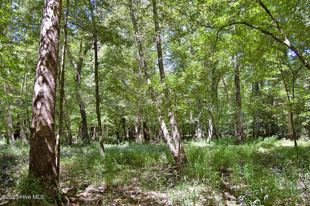 0 Nc Highway 33 Property Photo 75