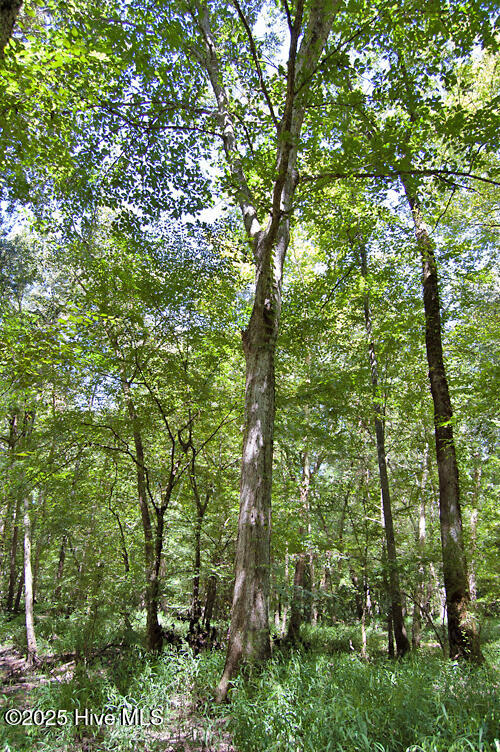 0 Nc Highway 33 Property Photo 76