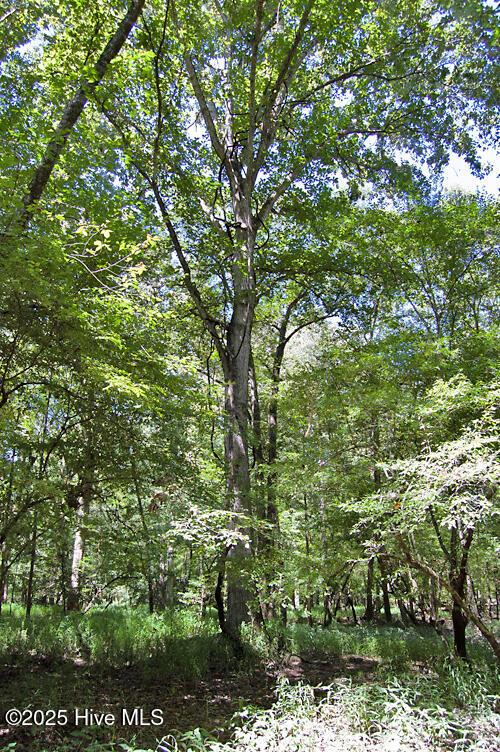 0 Nc Highway 33 Property Photo 77